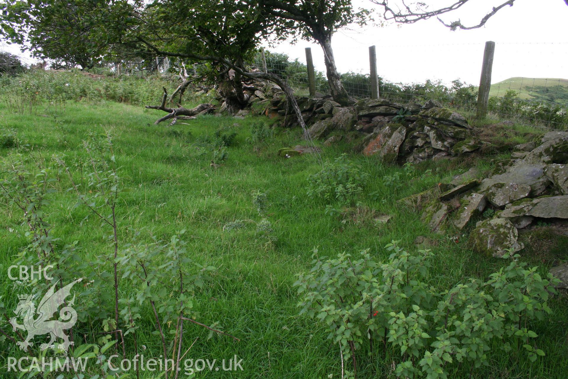 RCAHMW digital photographic survey of Hollow Way II, Troed-y-Rhiw, Ystrad Fflur, Ceredigion, by Louise Barker, 01/05/2006.