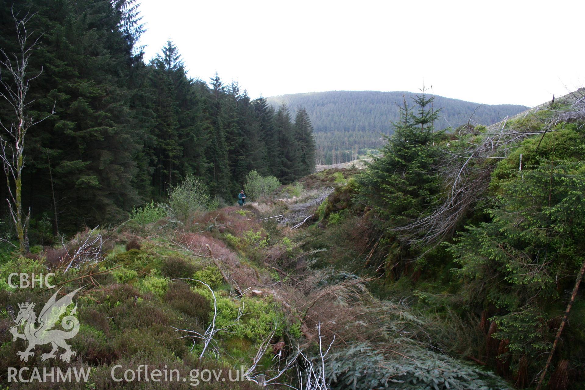 the Manchester and Milford Railway: Cefn Blaenmerin tunnel north east entrance. View from cutting looking to east.