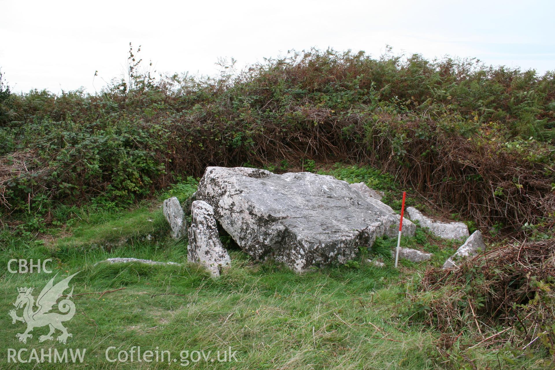 Penmaen Burrows Burial Chamber. View of chamber remains showing rising ground behind (to the west) possibly concealing cairn material; 1m scale.