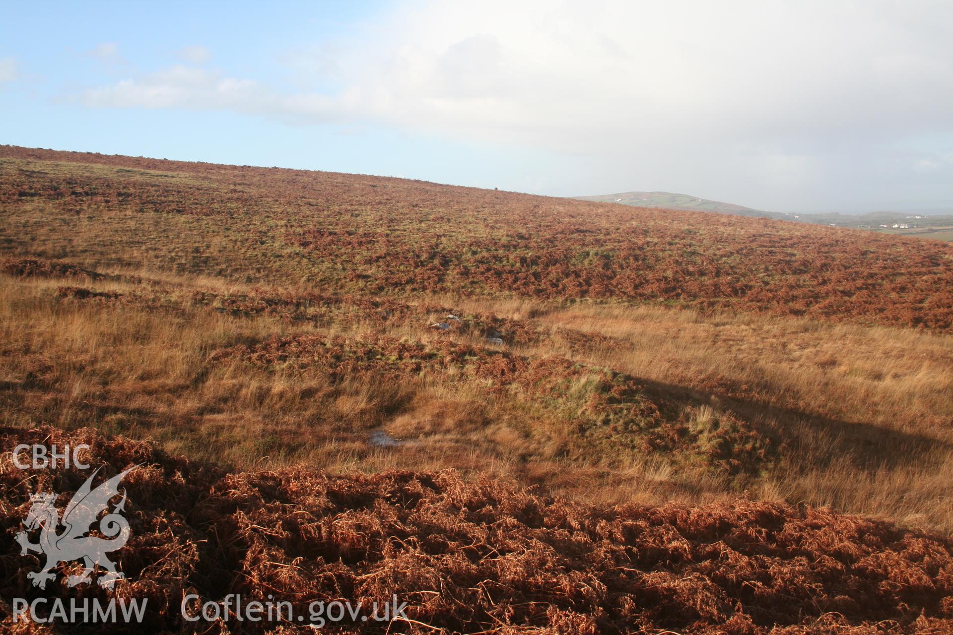 Burnt mound, Cefn Bryn. Mound viewed from the east, crescent open to stream.