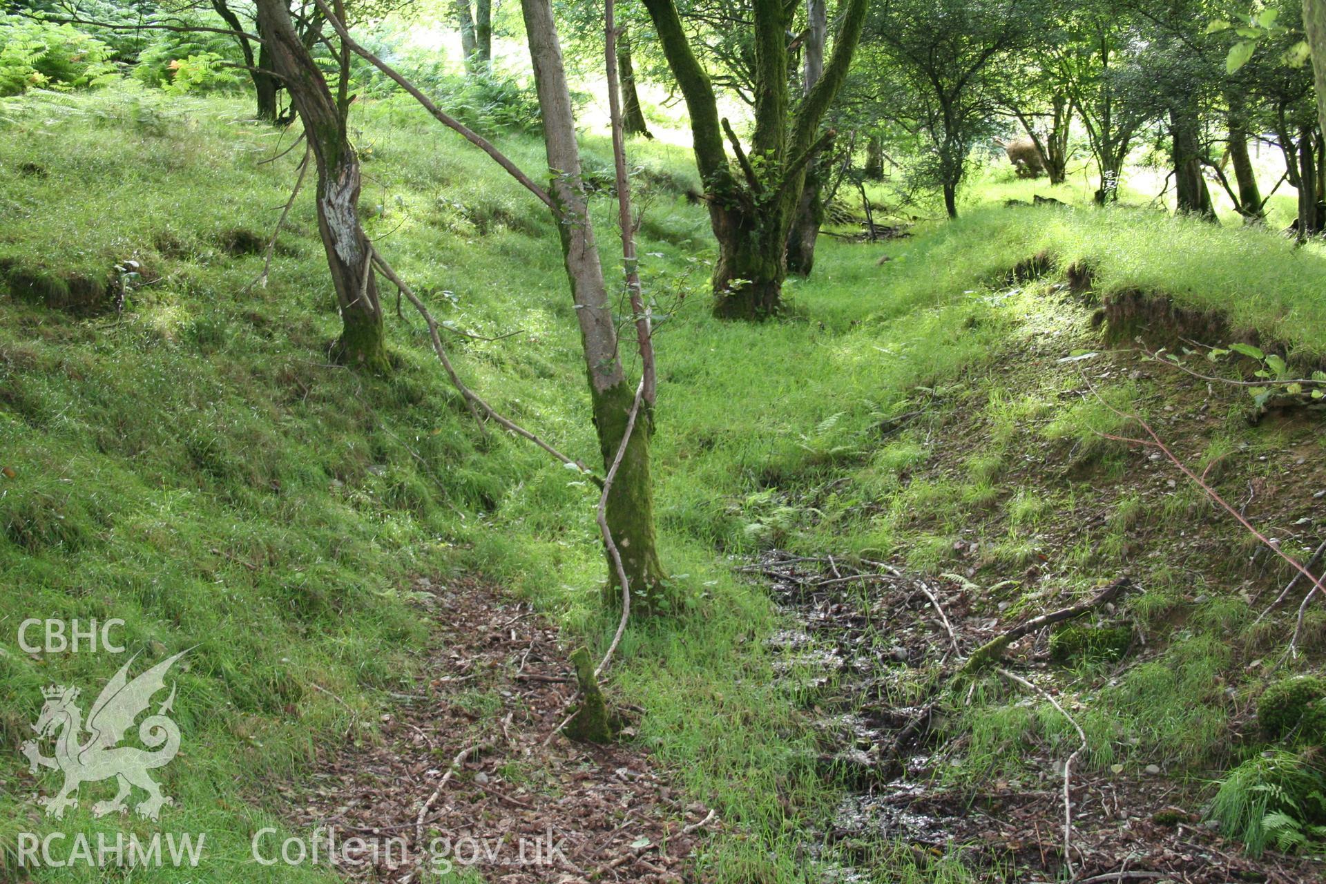 Looking along a section of hollow way from the north-west