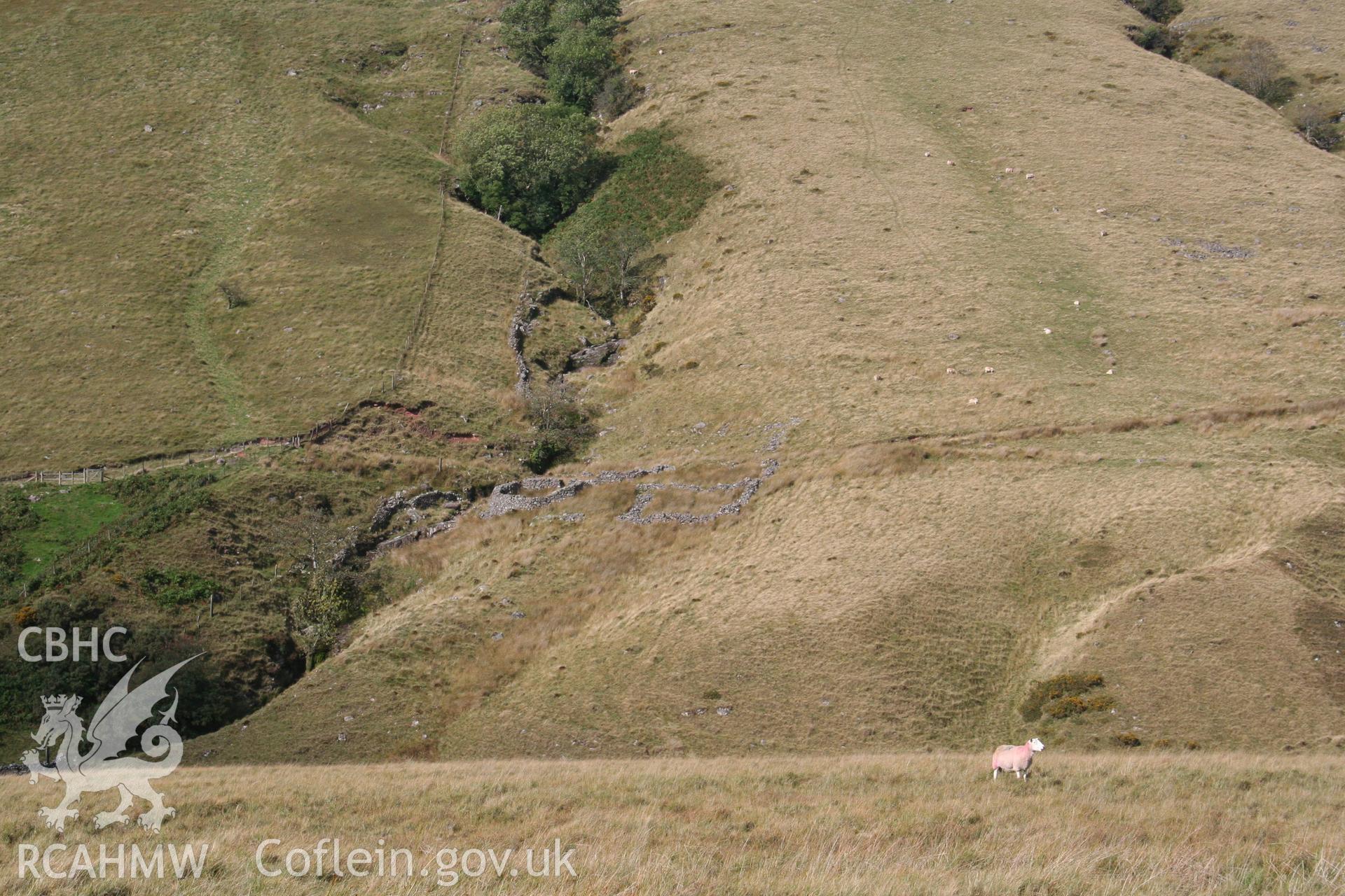 Nant Coedgae, sheepfold. Sheepfold viewed across Tawe Valley from the east.