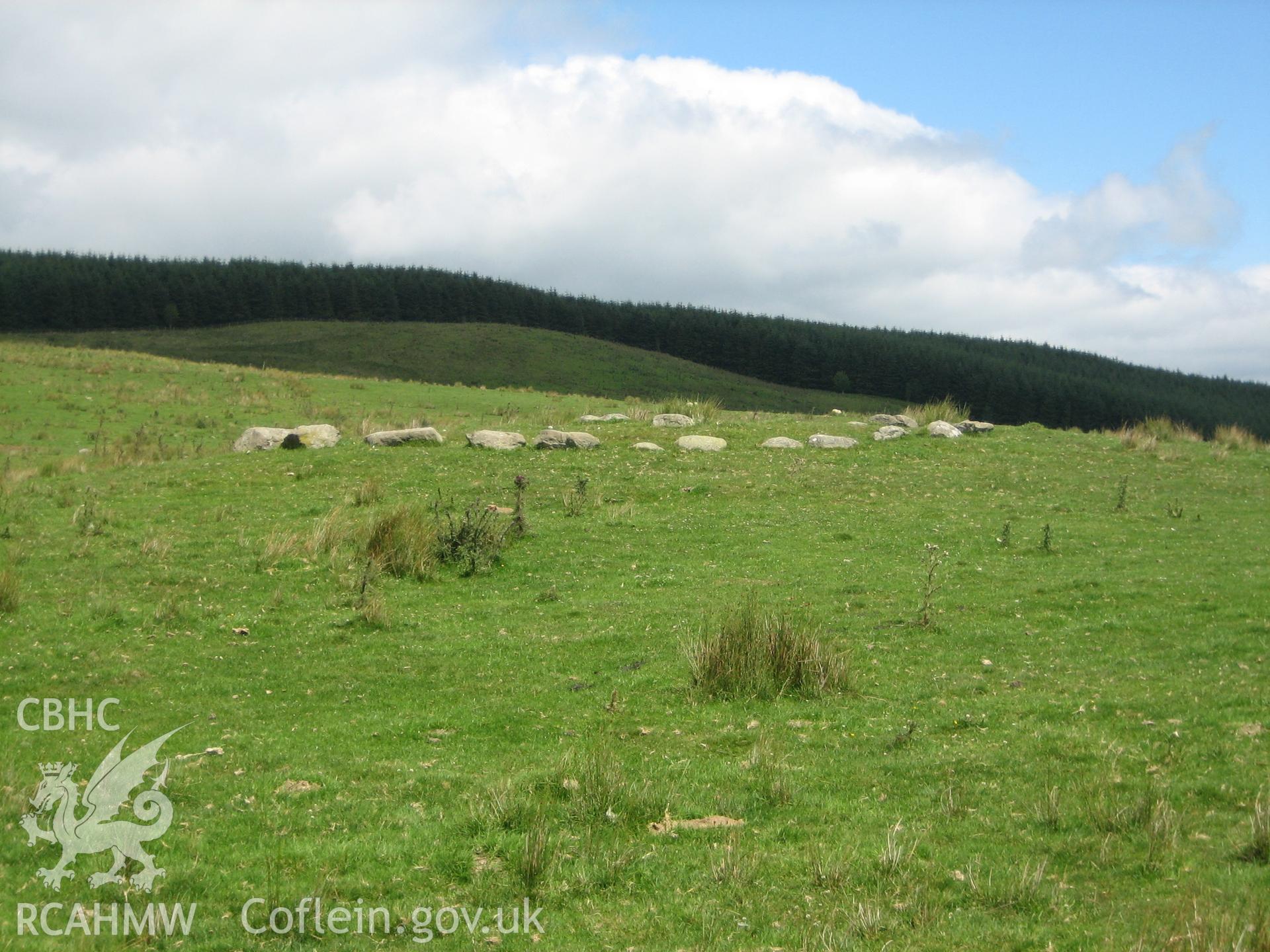 Waen Ddafad cain from the north west.