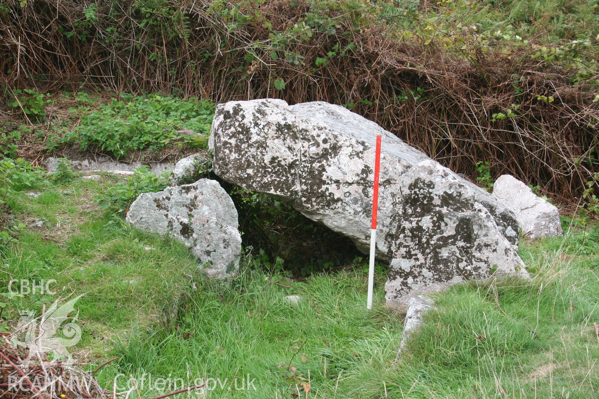 Penmaen Burrows Burial Chamber. Close-up from the east showing collapsed cap-stone; 1m scale.