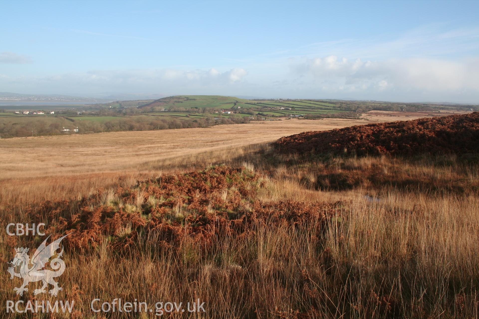 Burnt mound, Cefn Bryn. View of mound from the west, outlined as a crescent in darker vegetation (bracken).