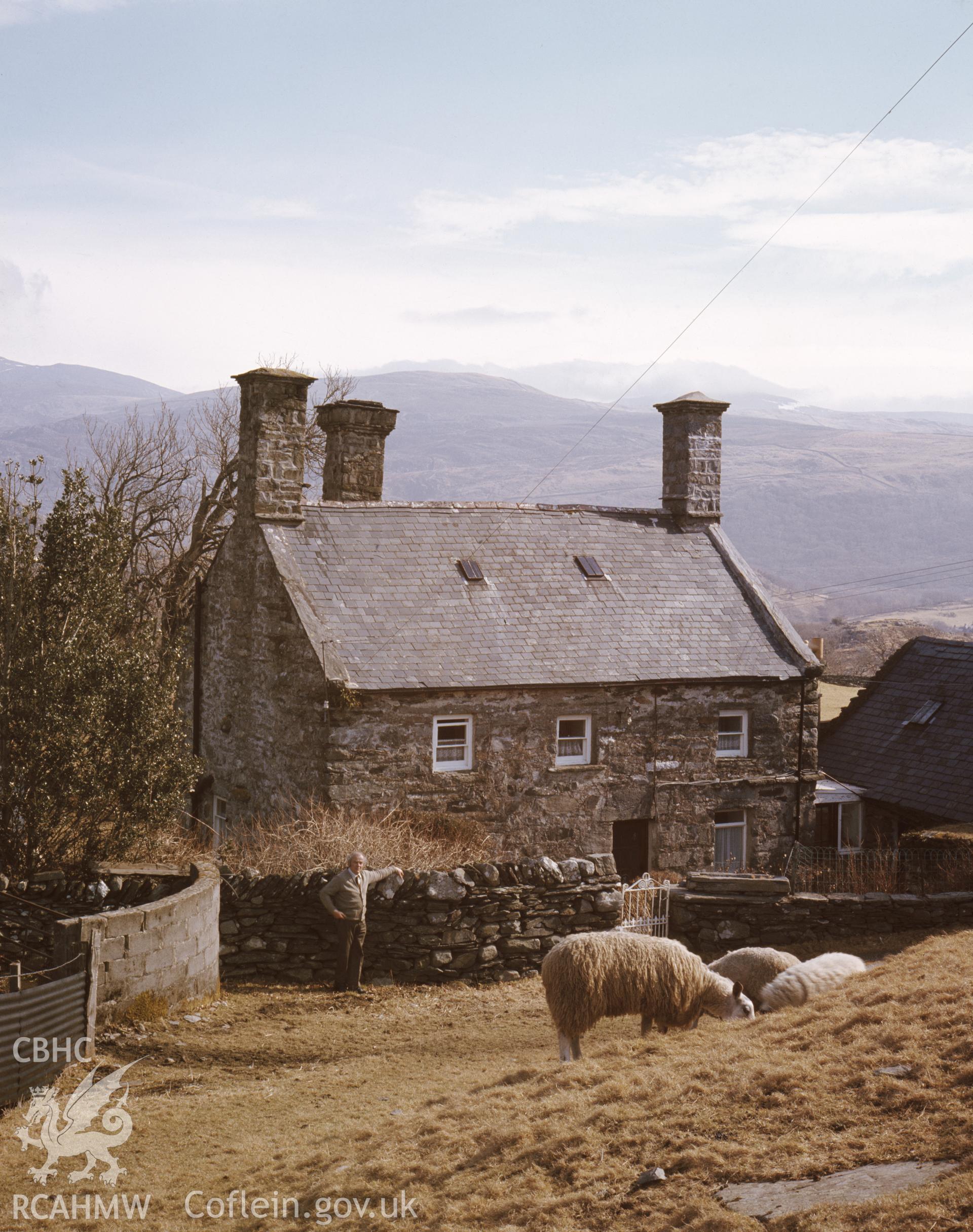 RCAHMW colour transparency showing Tyddyn y Felin taken by RCAHMW, undated.