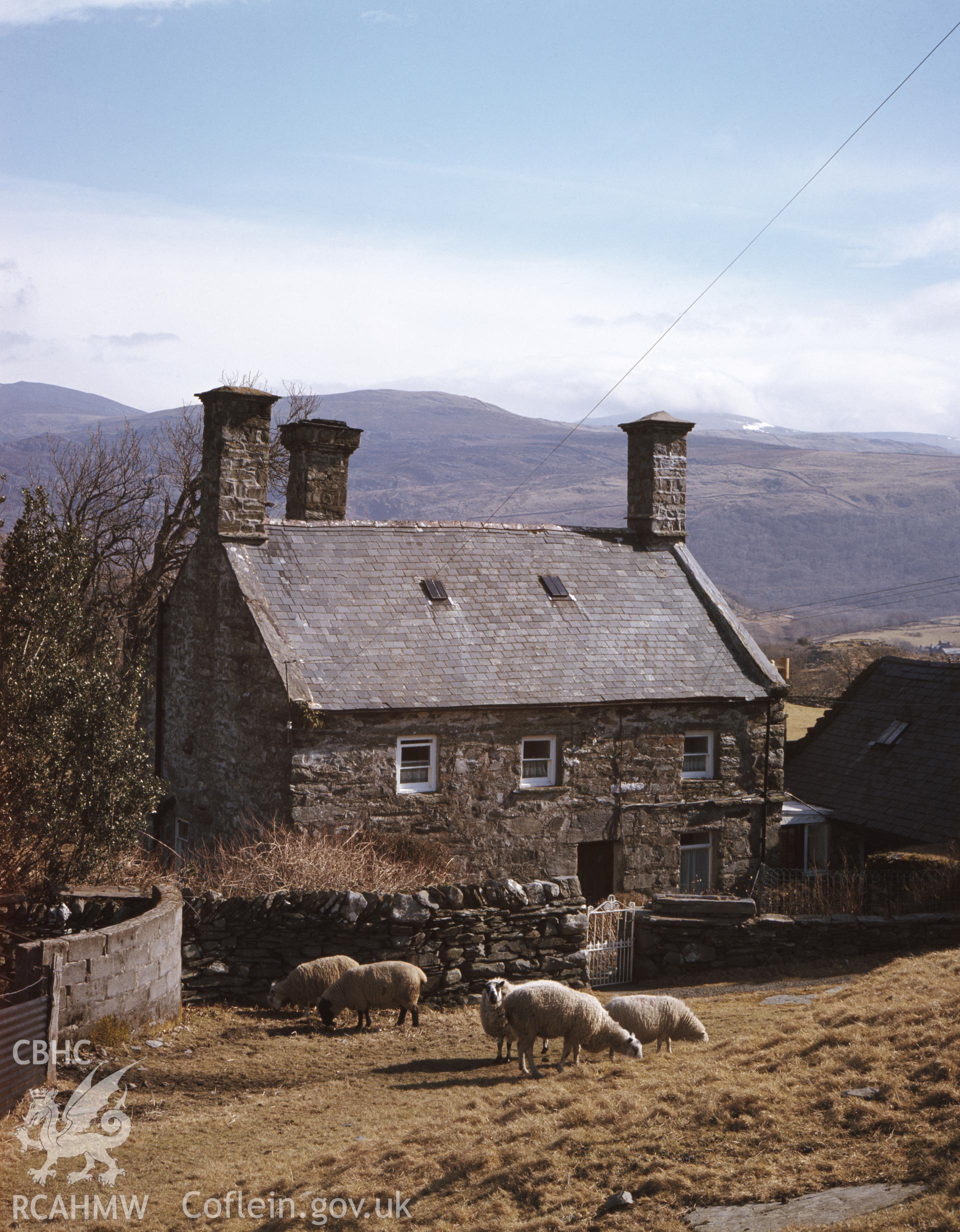 RCAHMW colour transparency showing Tyddyn y Felin taken by RCAHMW, undated.