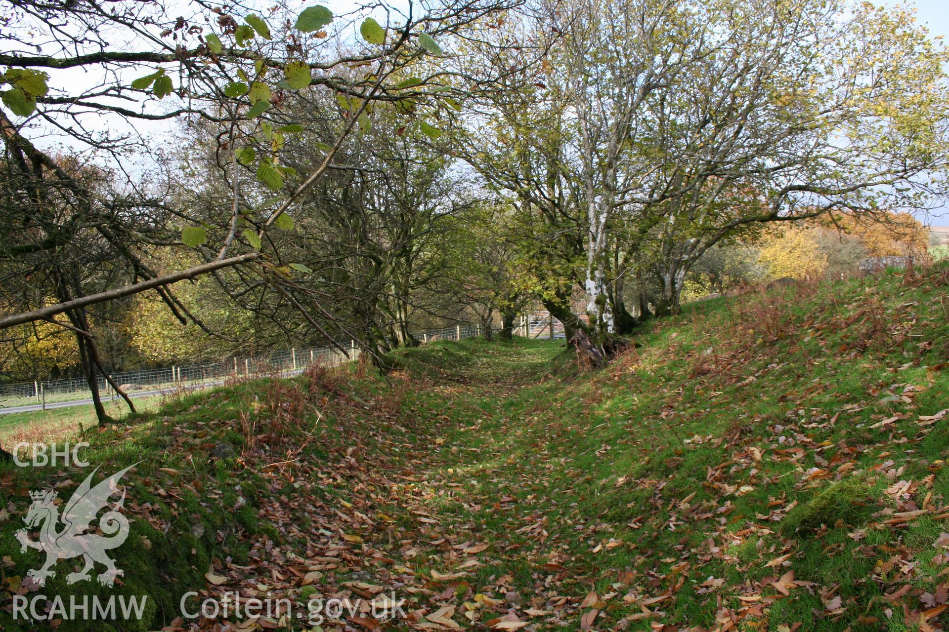 Looking along a section of the hedged lane from the west