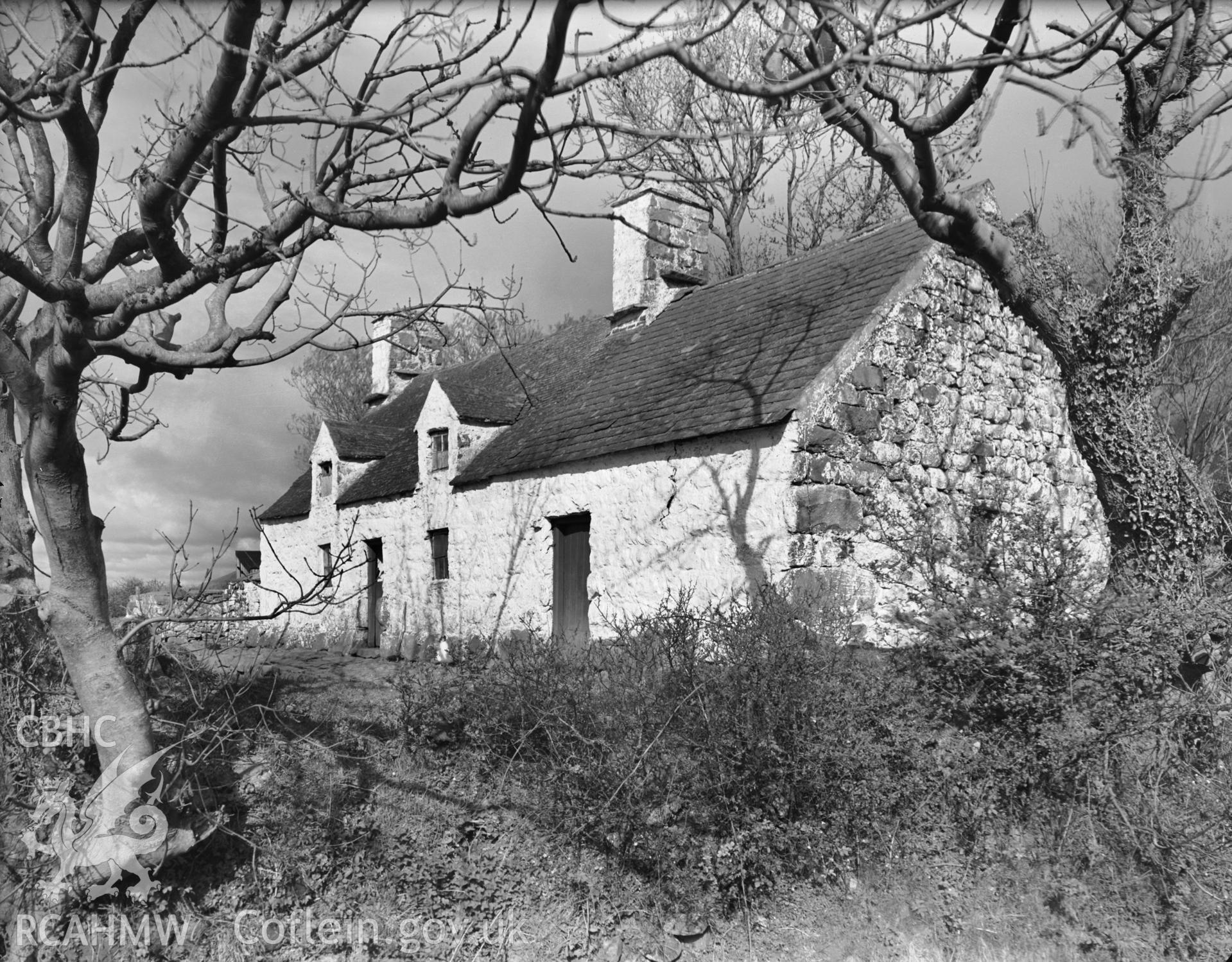 Cefn Buarddau, Llanaelhaearn; one black and white photograph taken by G.B. Mason, circa 1952