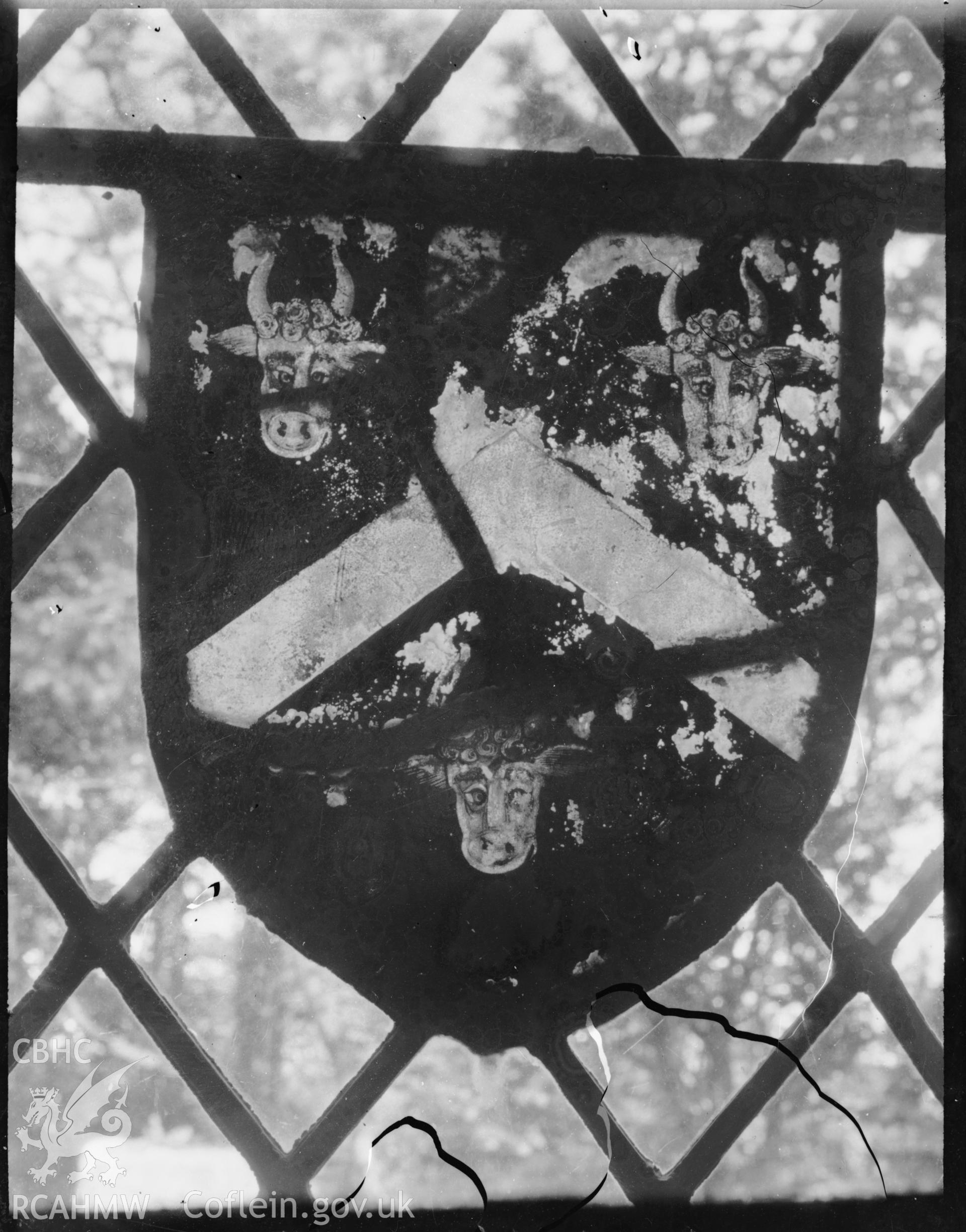 Black and white photograph of shield of arms in window at St Mechell's Church, Llanfechell.