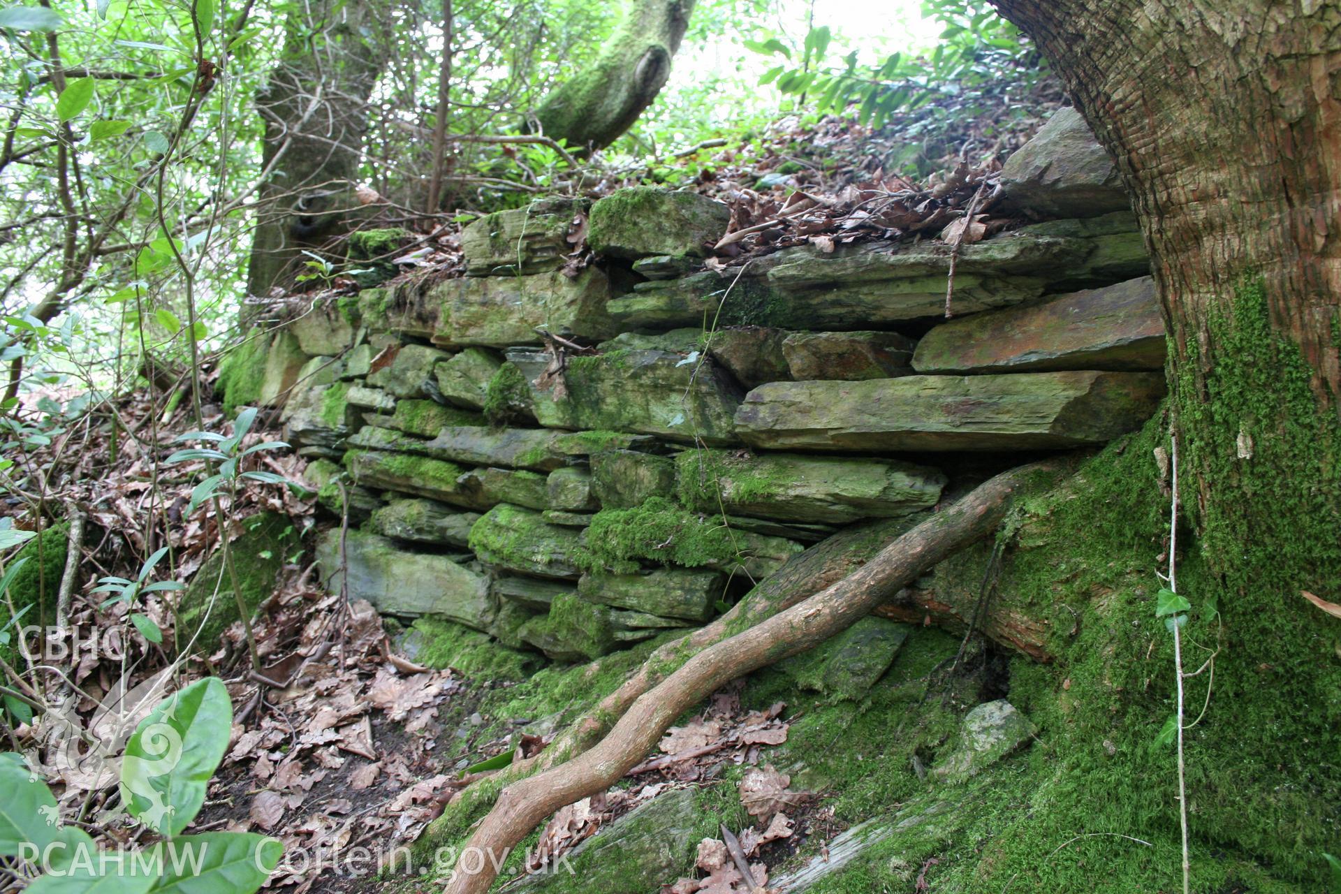 Castell Aber Ia.  Detail of dry stone walling of the curtain wall which survives on the north-western edge of the platform.