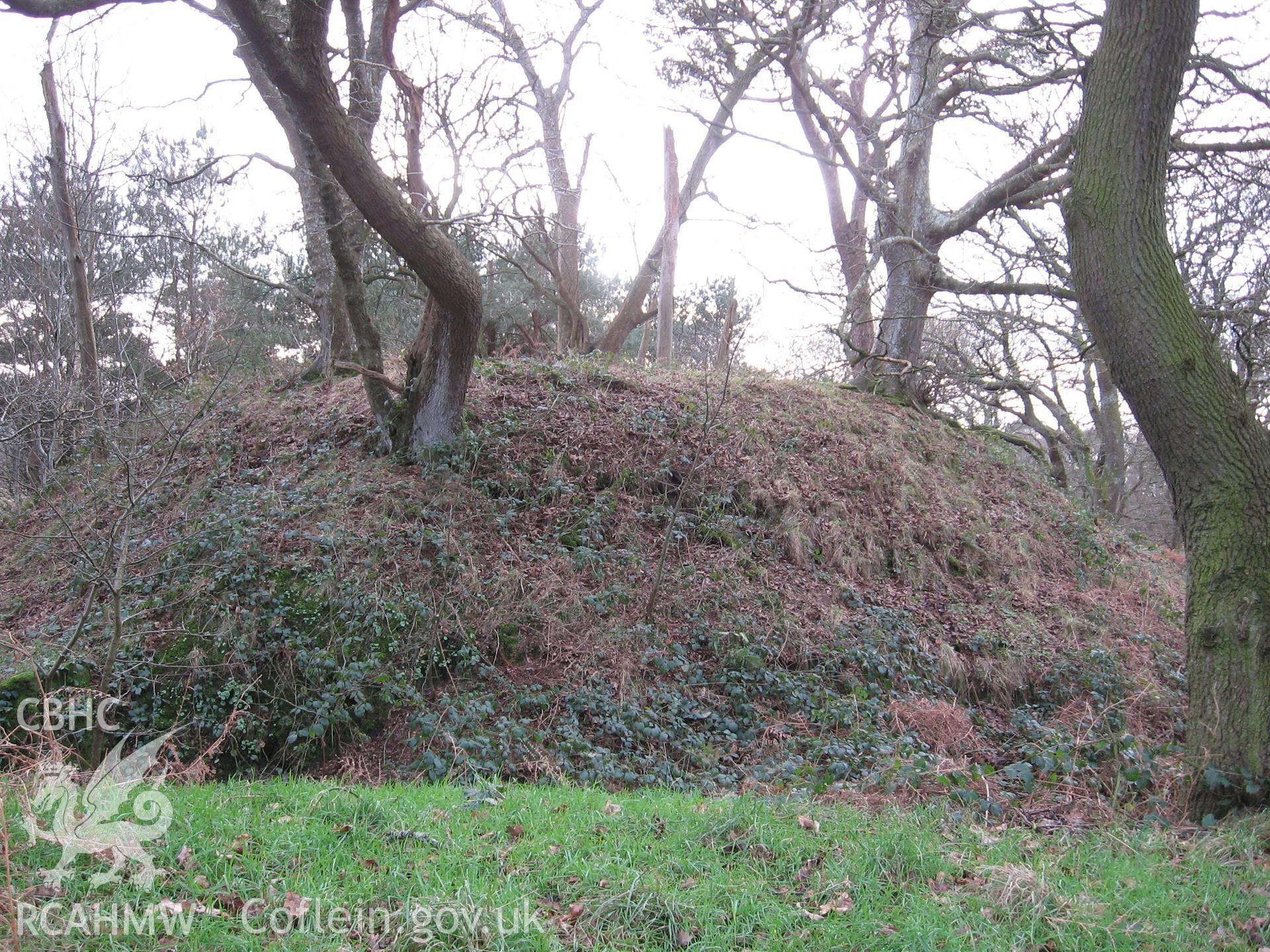 Domen Las, motte from north.