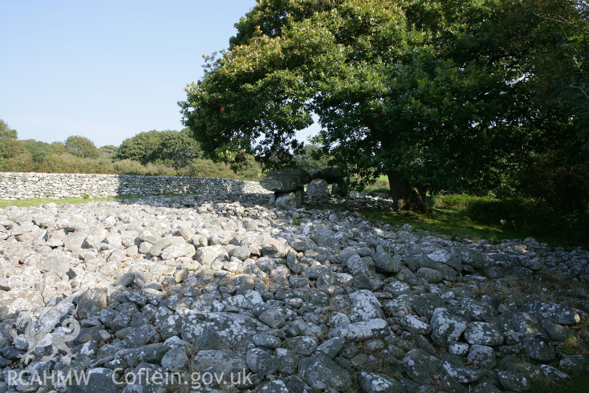 General view of tombs and cairn from south-west