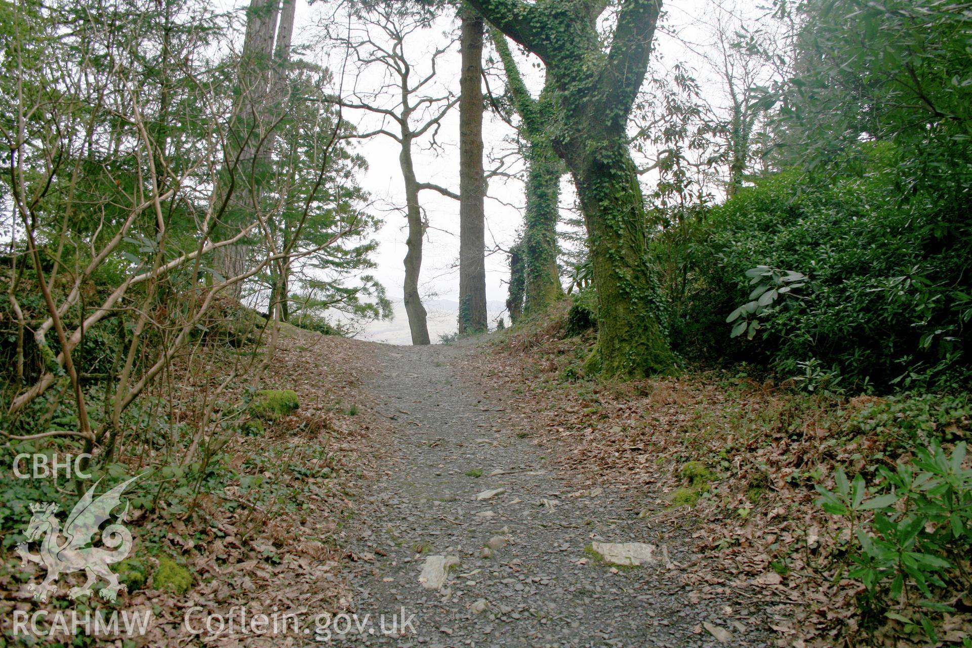 Castell Aber Ia.  Looking along the line of the rock cut ditch from the north-west.