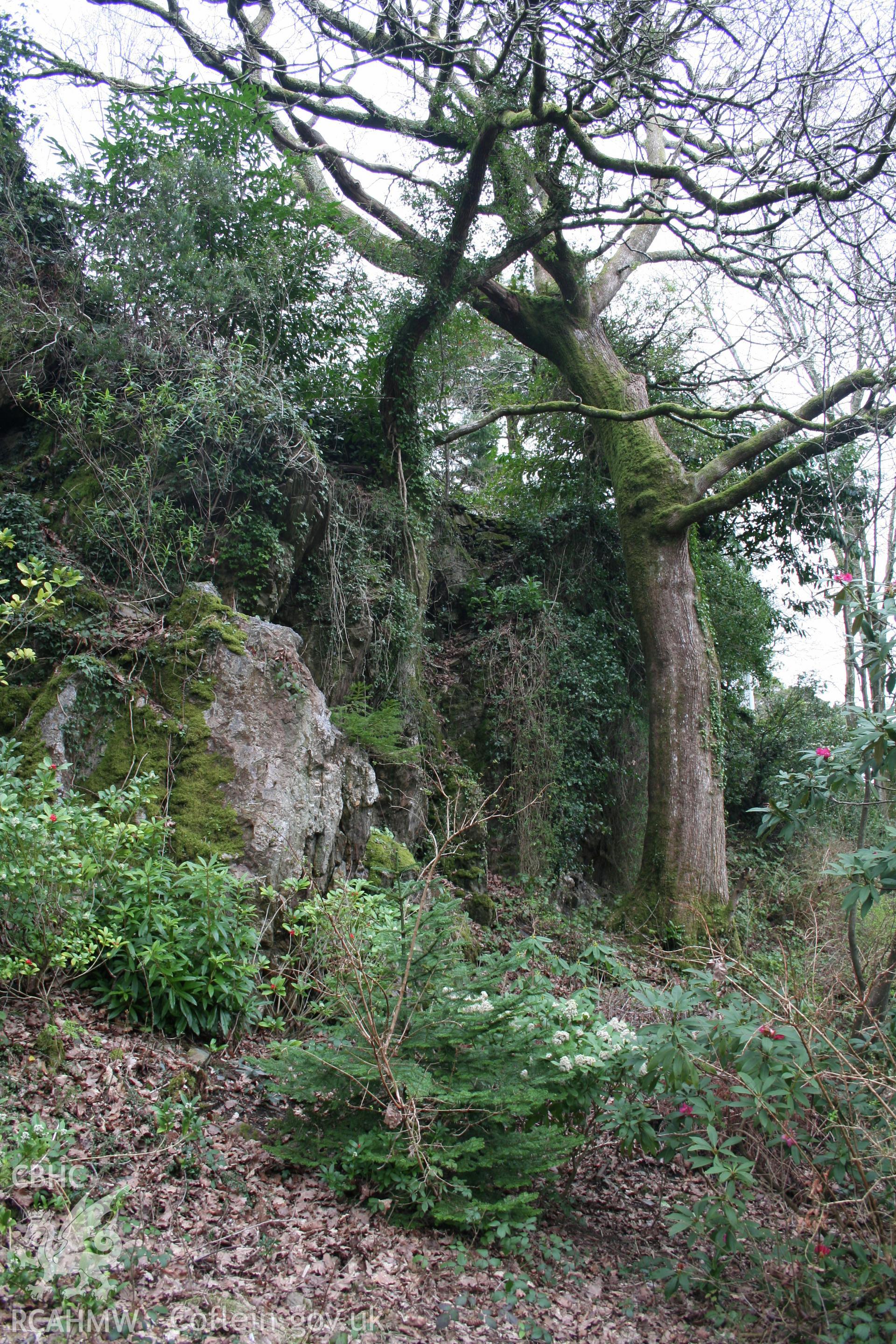 Castell Aber Ia from the south-east showing the rock outcrop upon which the castle once stood.