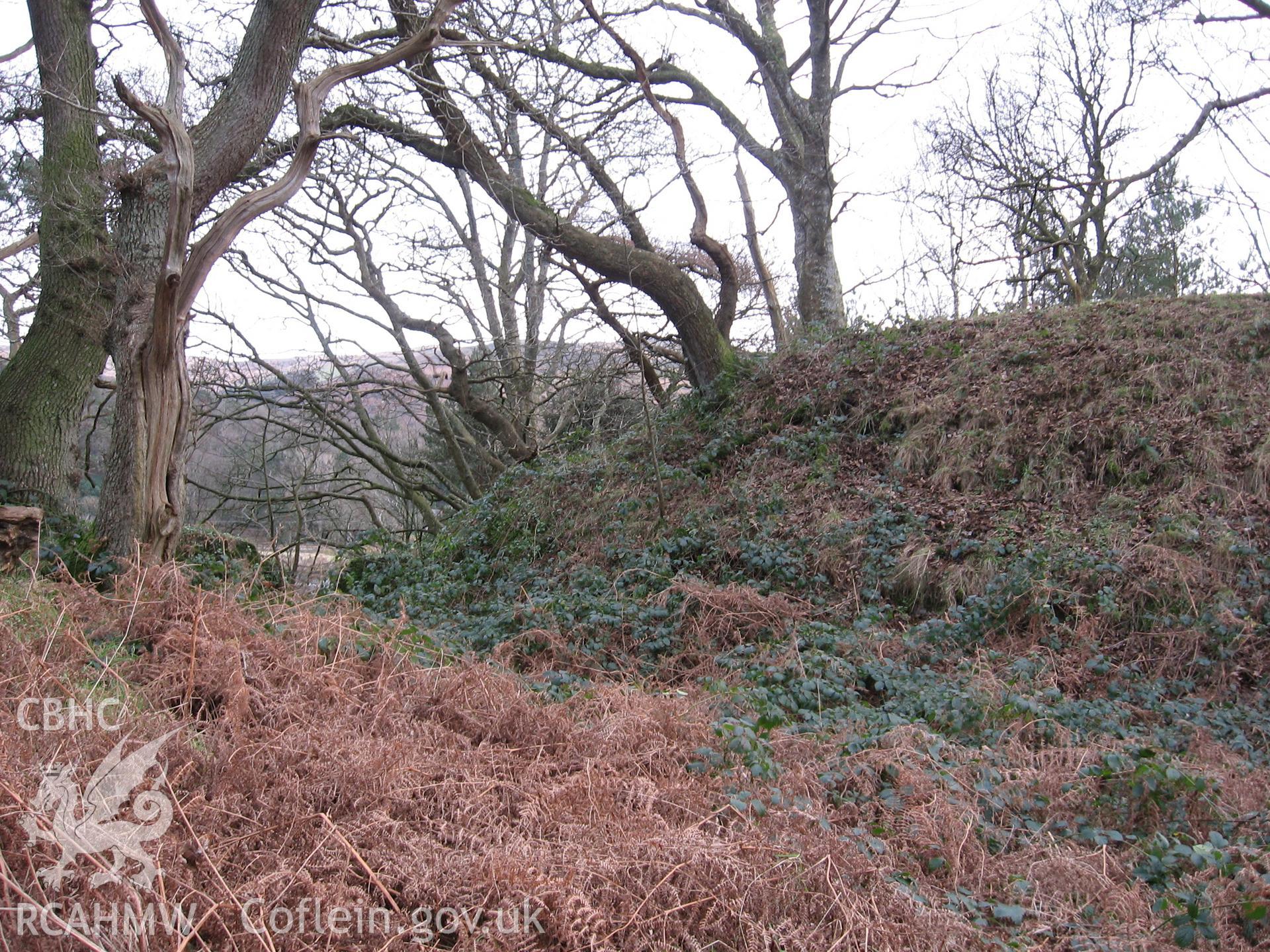 Domen Las, motte from north.