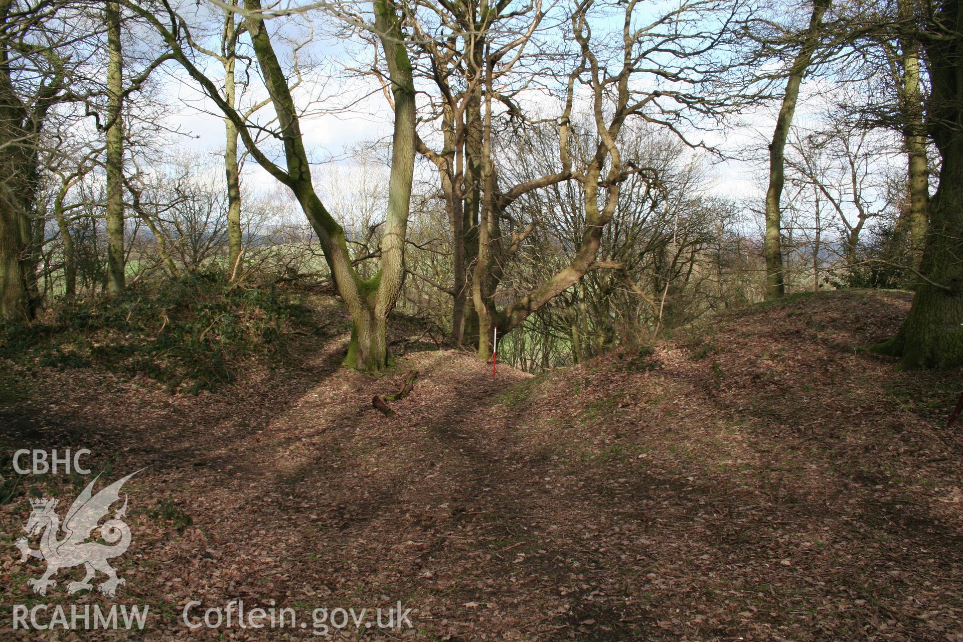 Gaer Fawr Hillfort. Northeast gateway, from the southeast (with scale).