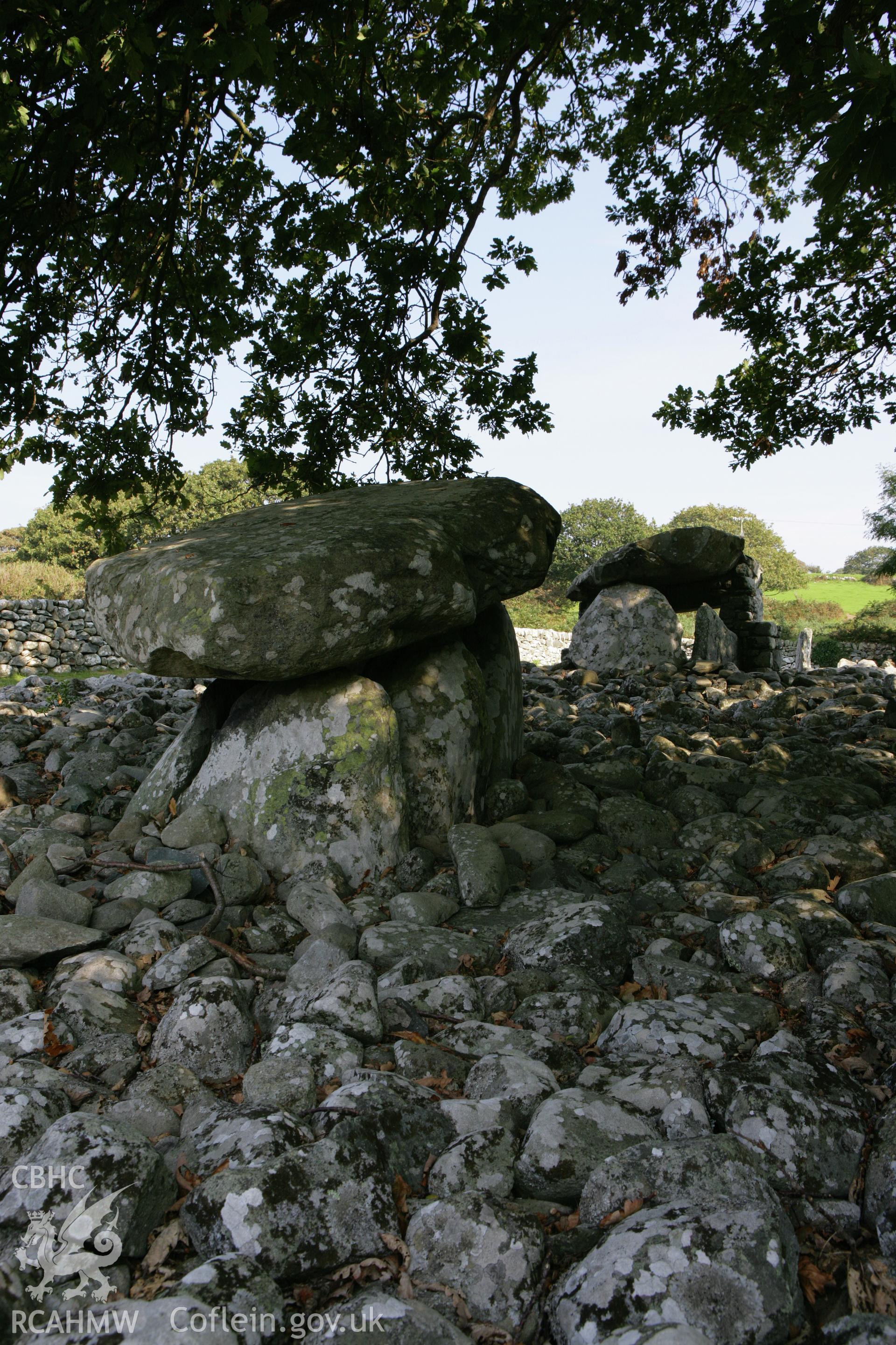 View of tombs from south-west