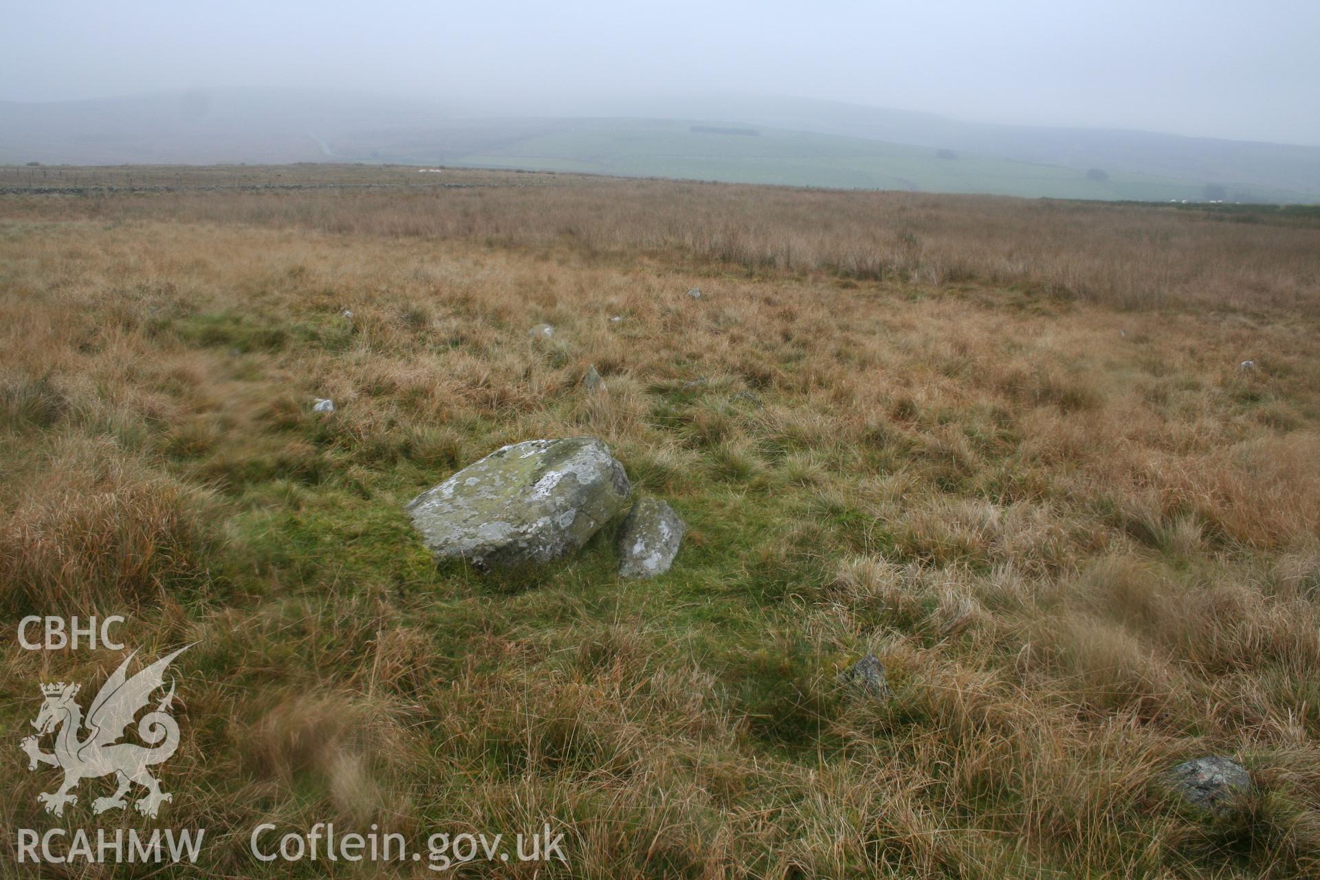 Stones viewed from the south-west, largest one in the complex in foreground.