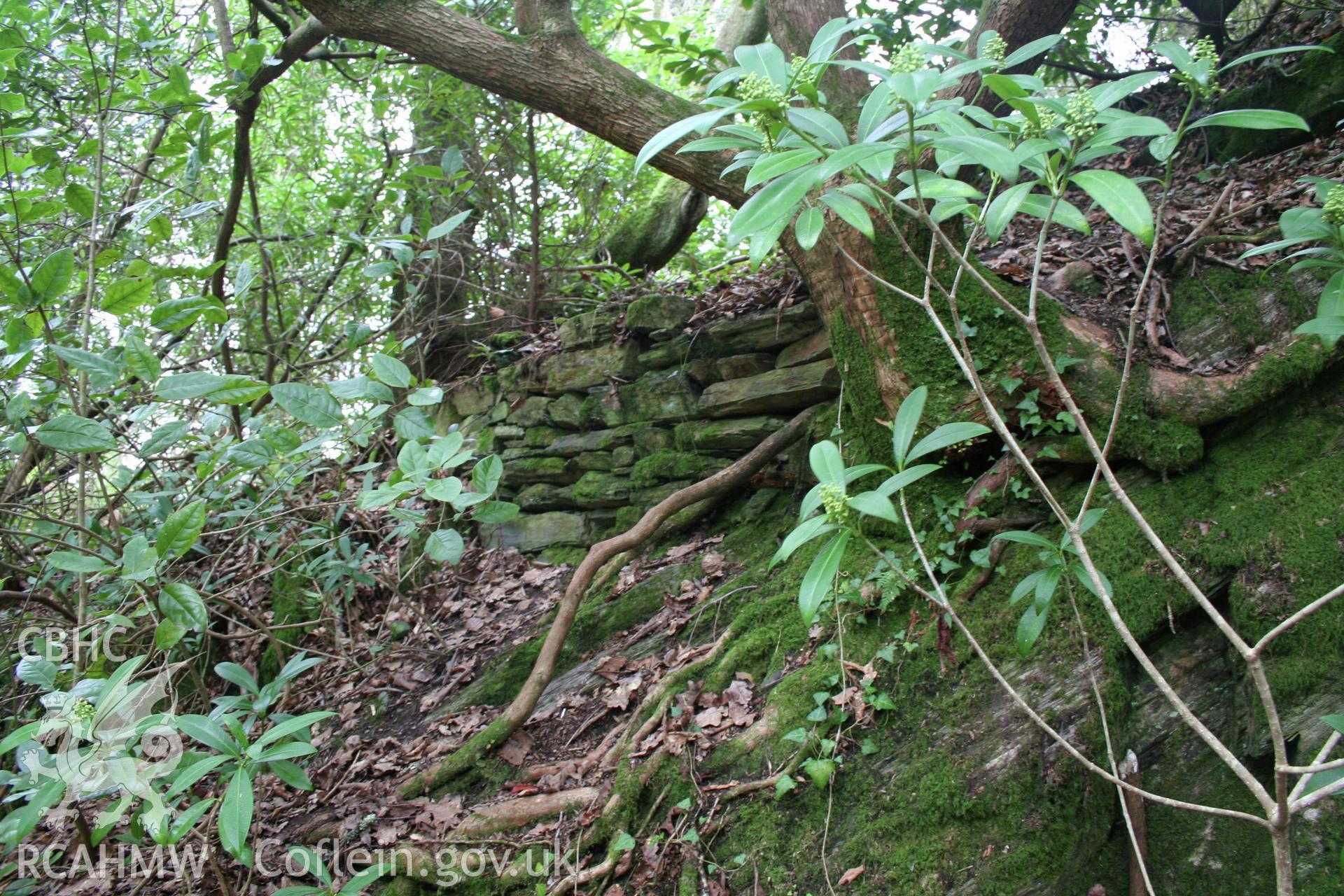 Castell Aber Ia.  Section of dry stone walling of the curtain wall which survives on the north-western edge of the platform.