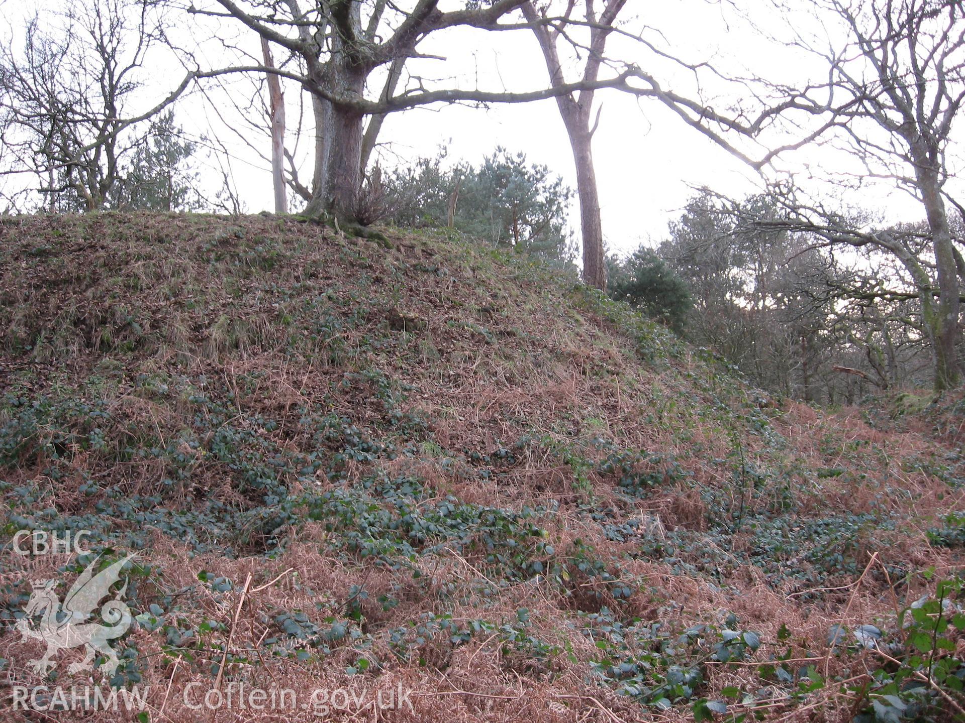 Domen Las, motte from north.