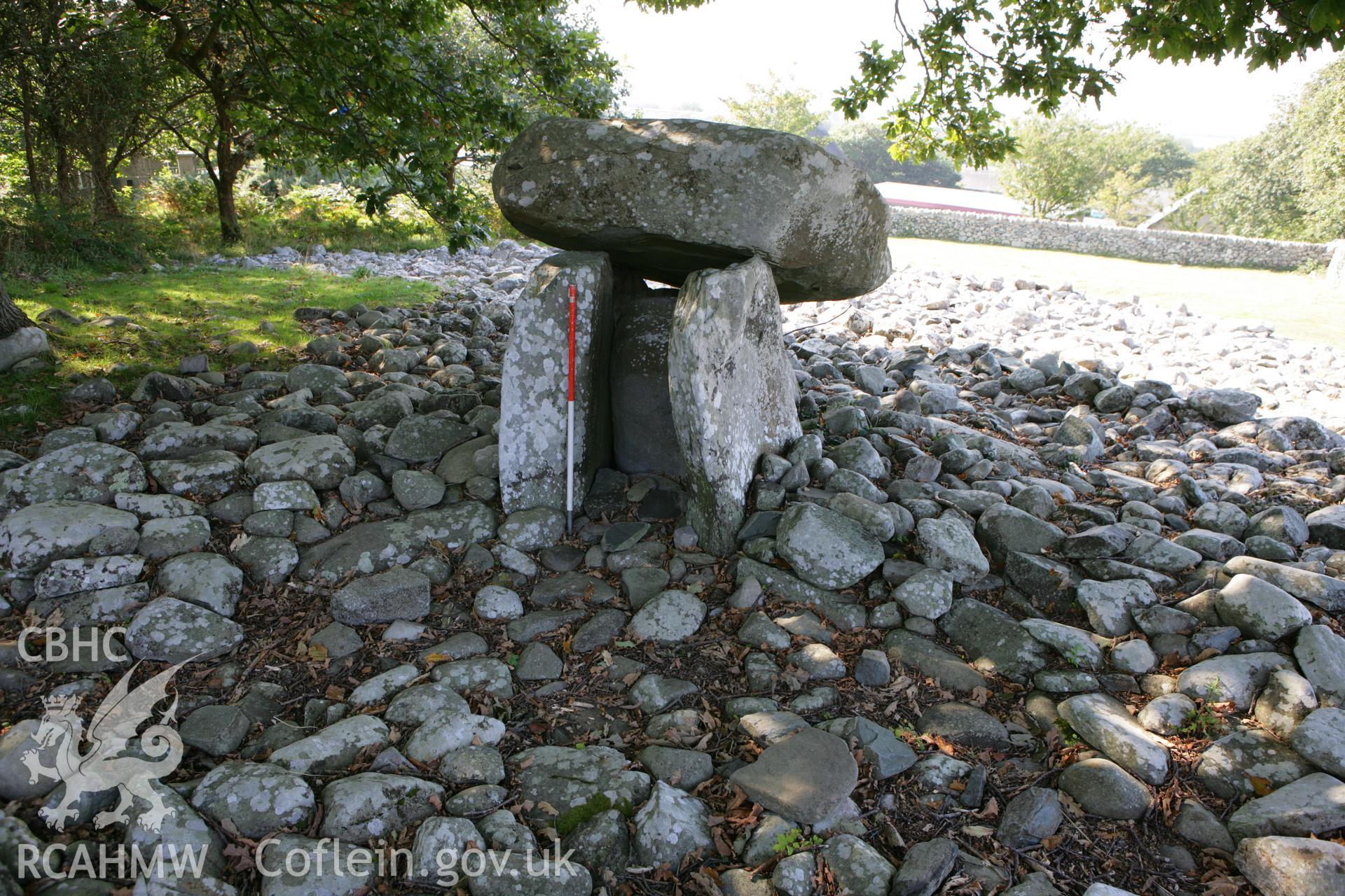 View of western tomb from east showing forecourt, 1m scale