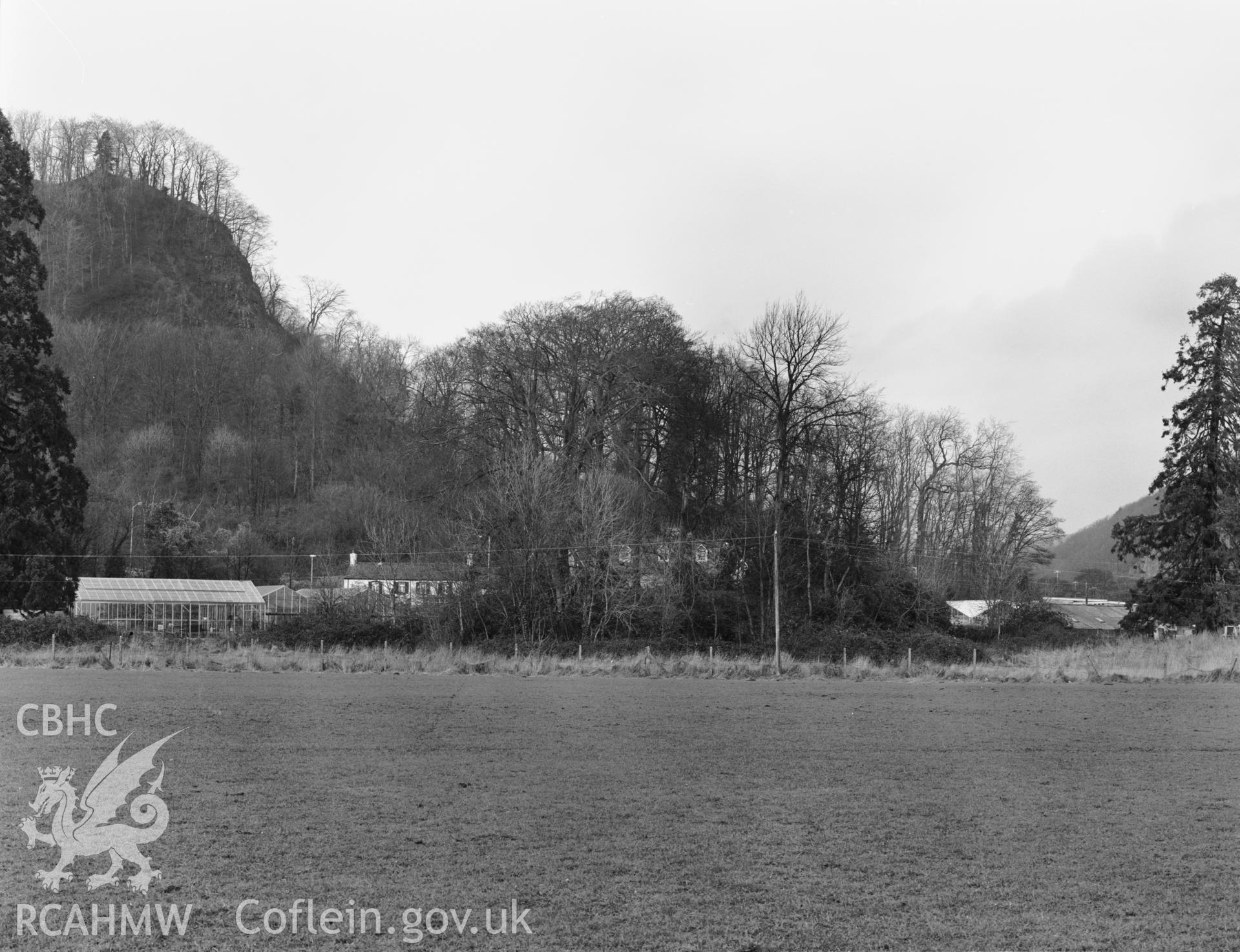 General view of Morganstown Motte