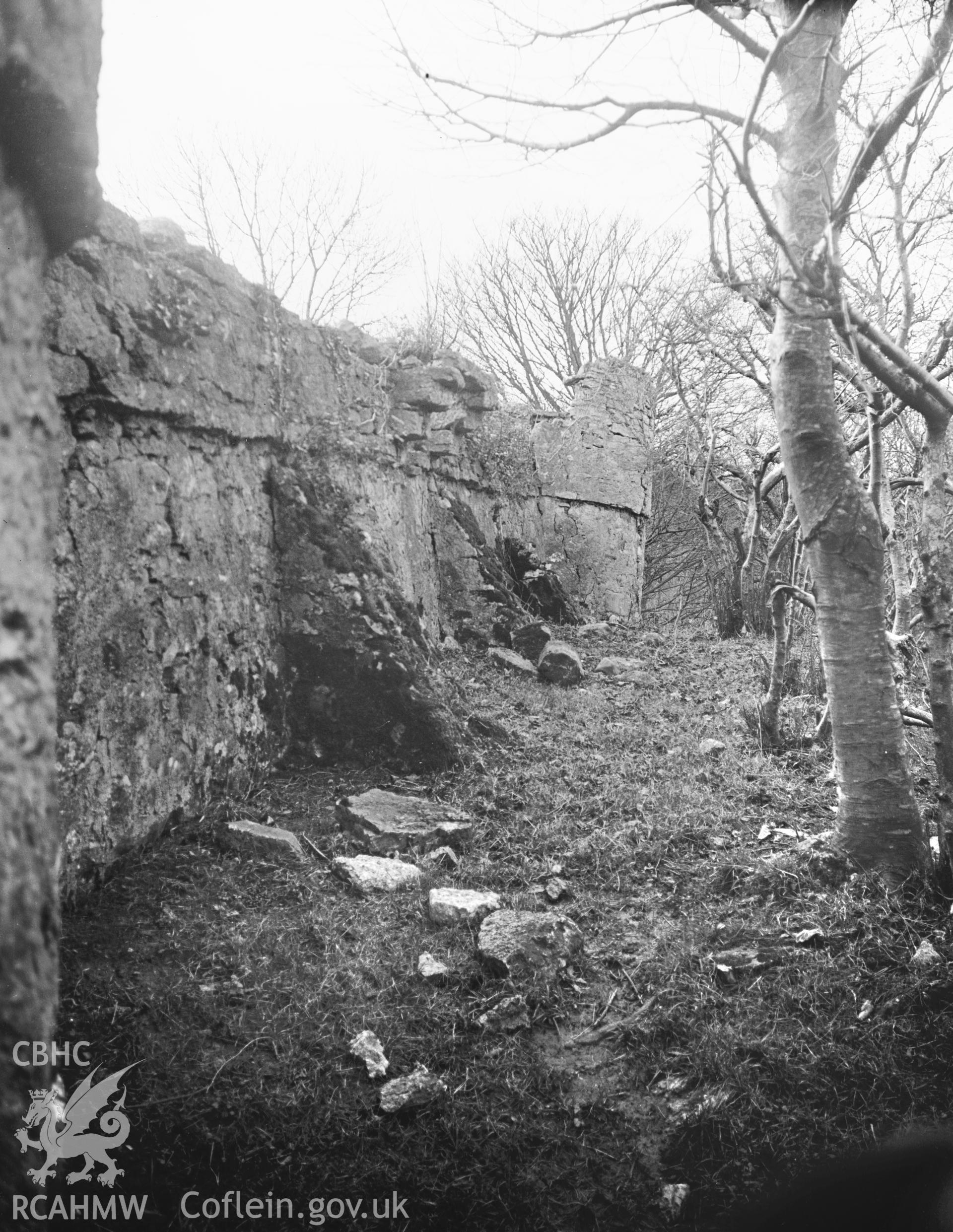 View of Aberlleiniog Castle.