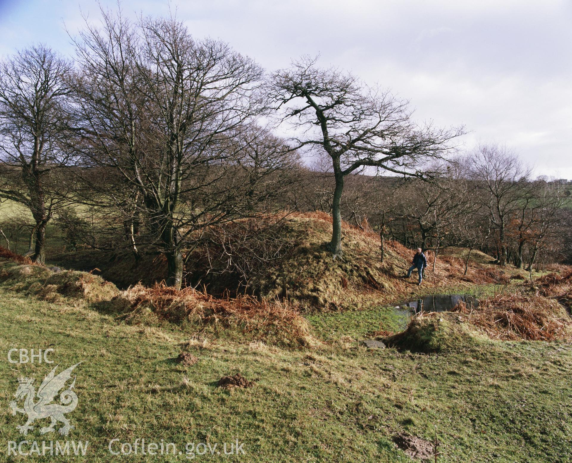 RCAHMW colour transparency showing Cae Castell, taken by I.N. Wright, 1991