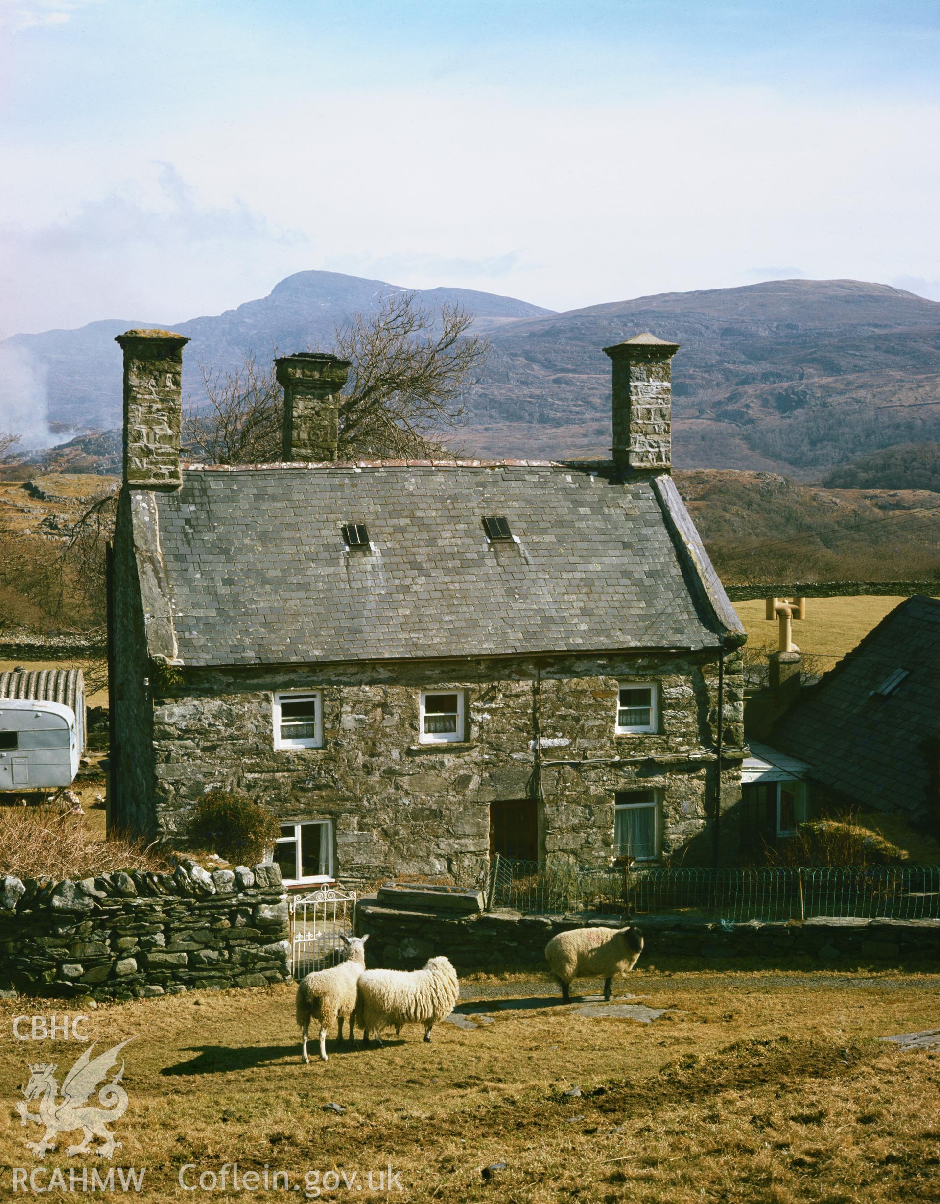 RCAHMW colour transparency showing Tyddyn y Felin, Llanfair, taken by Fleur James, 1986.