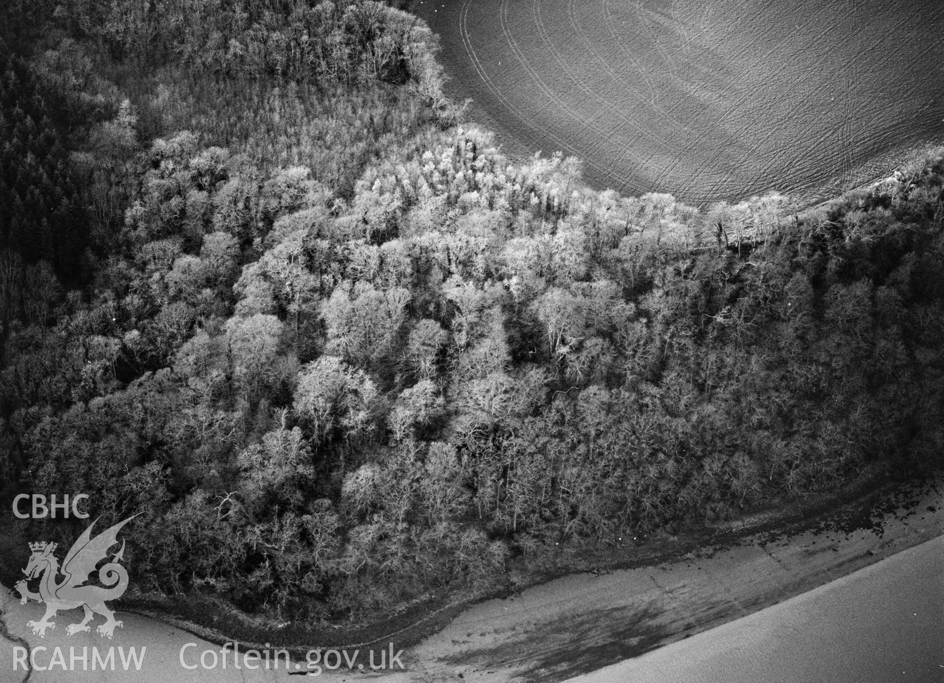 RCAHMW Black and white oblique aerial photograph of Castle Lake Camp, Slebech, 1993, by C.R. Musson.