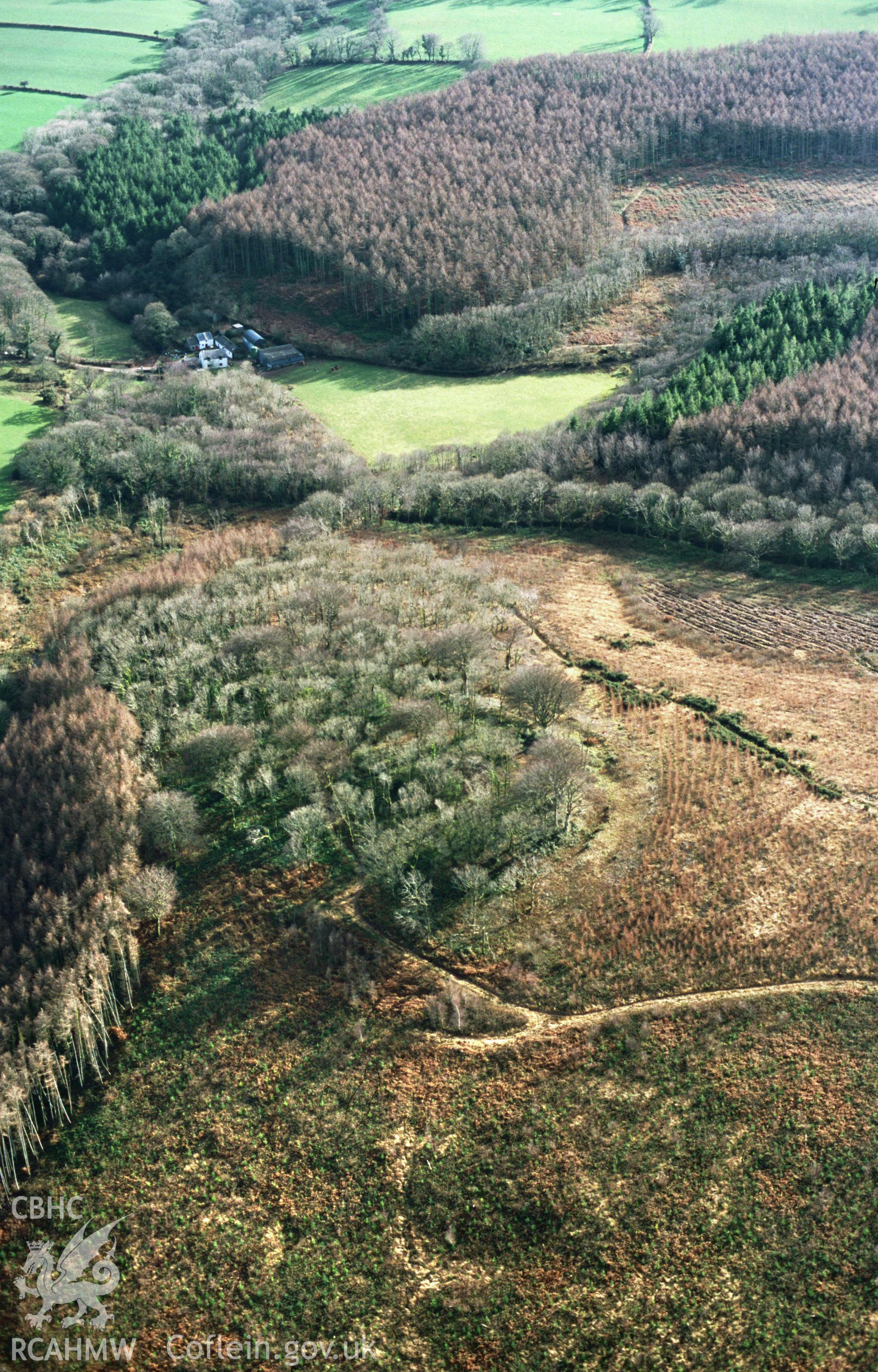 RCAHMW colour slide oblique aerial photograph of Canaston Wood Camp;  Cil Foden Enclosure, Llawhaden, taken by T.G.Driver on the 21/02/2000