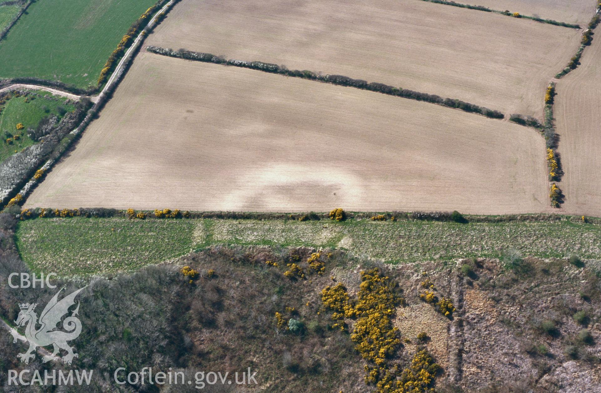 RCAHMW colour slide aerial photograph of Brawdy Brook enclosure, as soilmark & earthwork, half under plough. Taken by Toby Driver on 10/04/2003