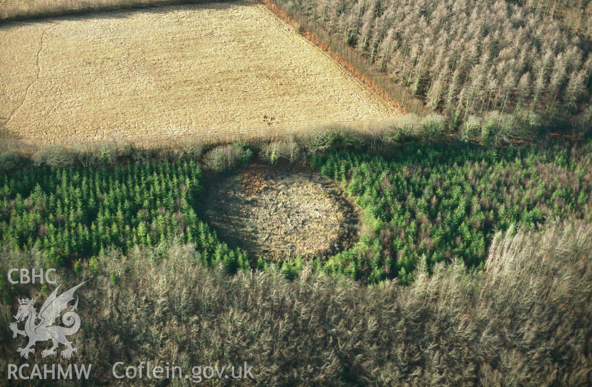 RCAHMW colour slide oblique aerial photograph of Minwear Wood Nursery, Enclosure, Martletwy, taken by C.R.Musson on the 02/02/1997