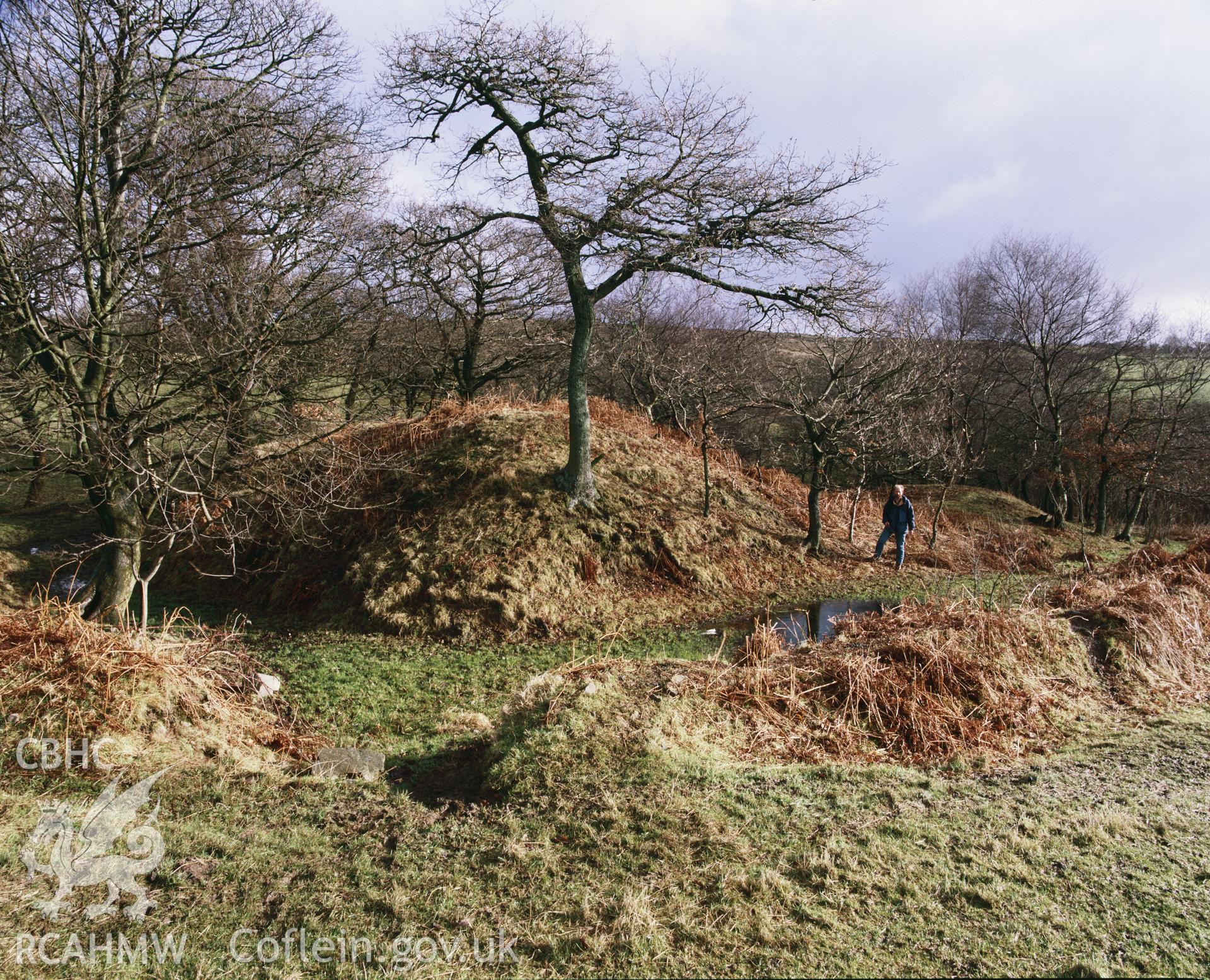 RCAHMW colour transparency showing Cae Castell, taken by I.N. Wright, 1991