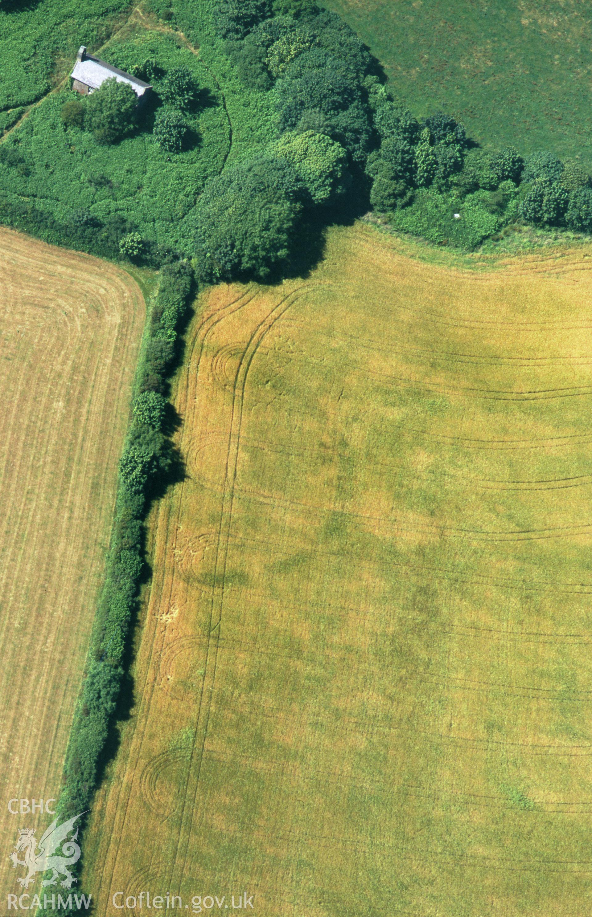 RCAHMW colour slide oblique aerial photograph of cropmark enclosure SE of St Andrew's, Bayvil, Nevern, taken by C.R.Musson on the 25/07/1996