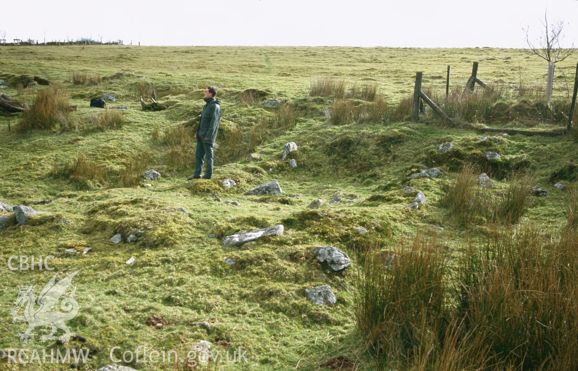 Slide of RCAHMW colour photograph showing the remains of Pant y Blodau Farmstead, Maescar, taken by Toby Driver, 2002.