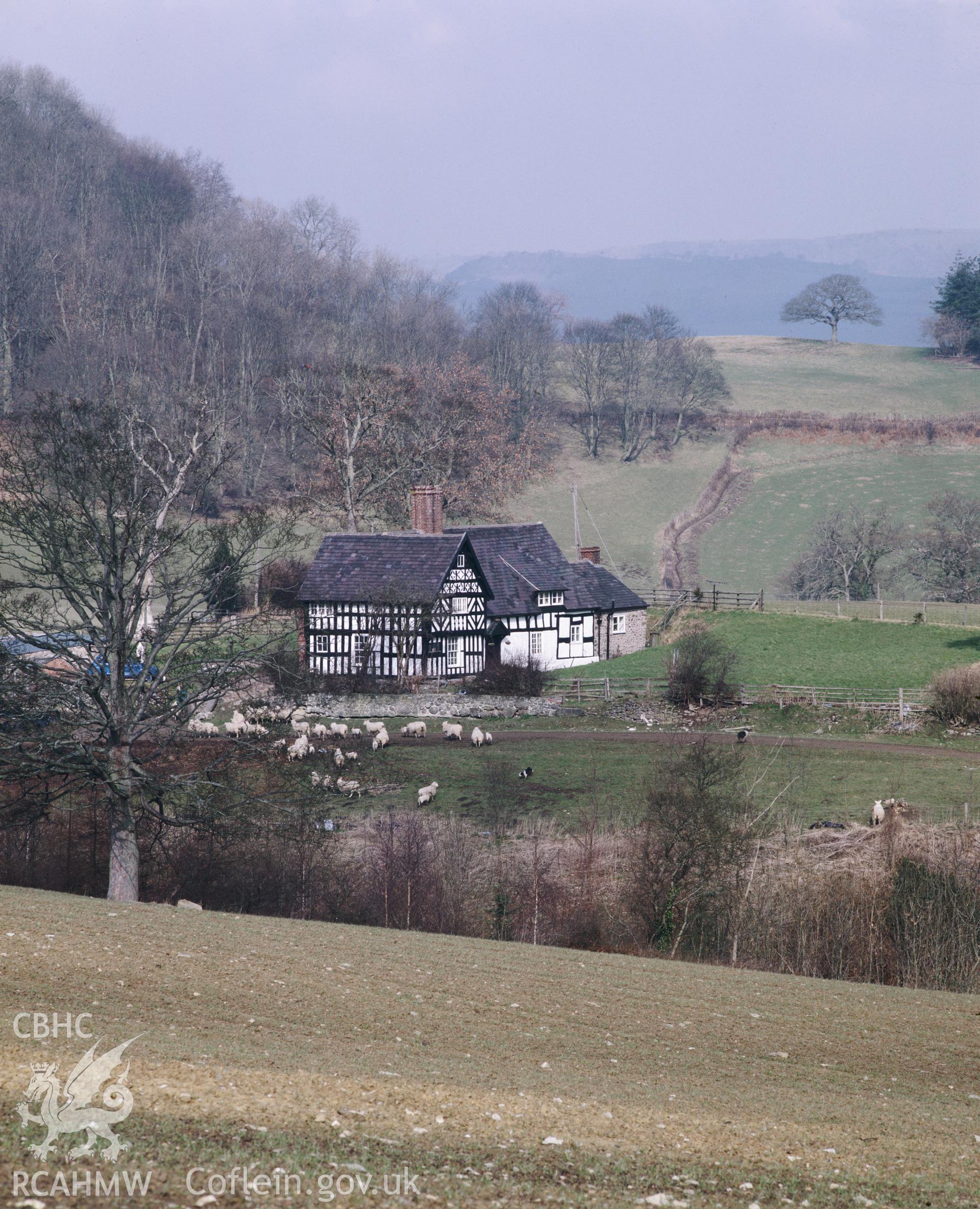 RCAHMW colour transparency showing an exterior view of Cefn Llyfnog, Llansantffraid.