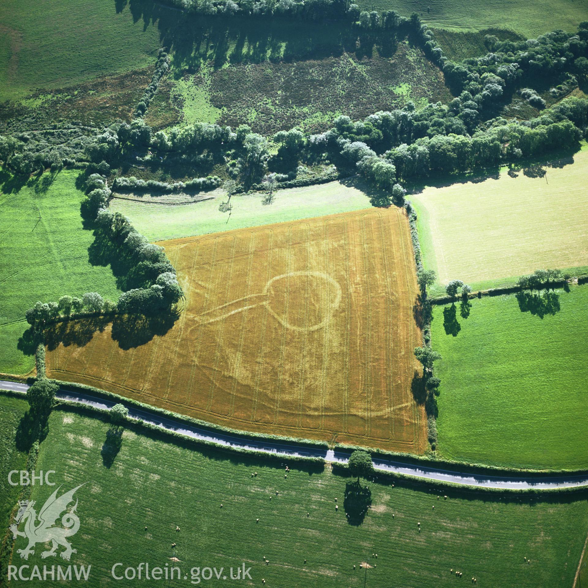 RCAHMW colour oblique aerial photograph of cropmark rectilinear and circulinear enclosures near Tregendeg, south-east of Penffordd, Maenclochog, taken by CR Musson, 1990