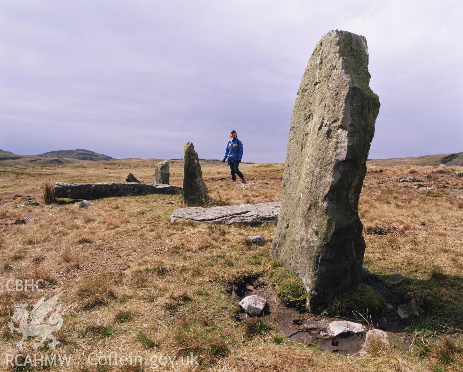 Colour transparency showing a view of Saith Maen stone alignment, produced by Iain Wright, c.1981