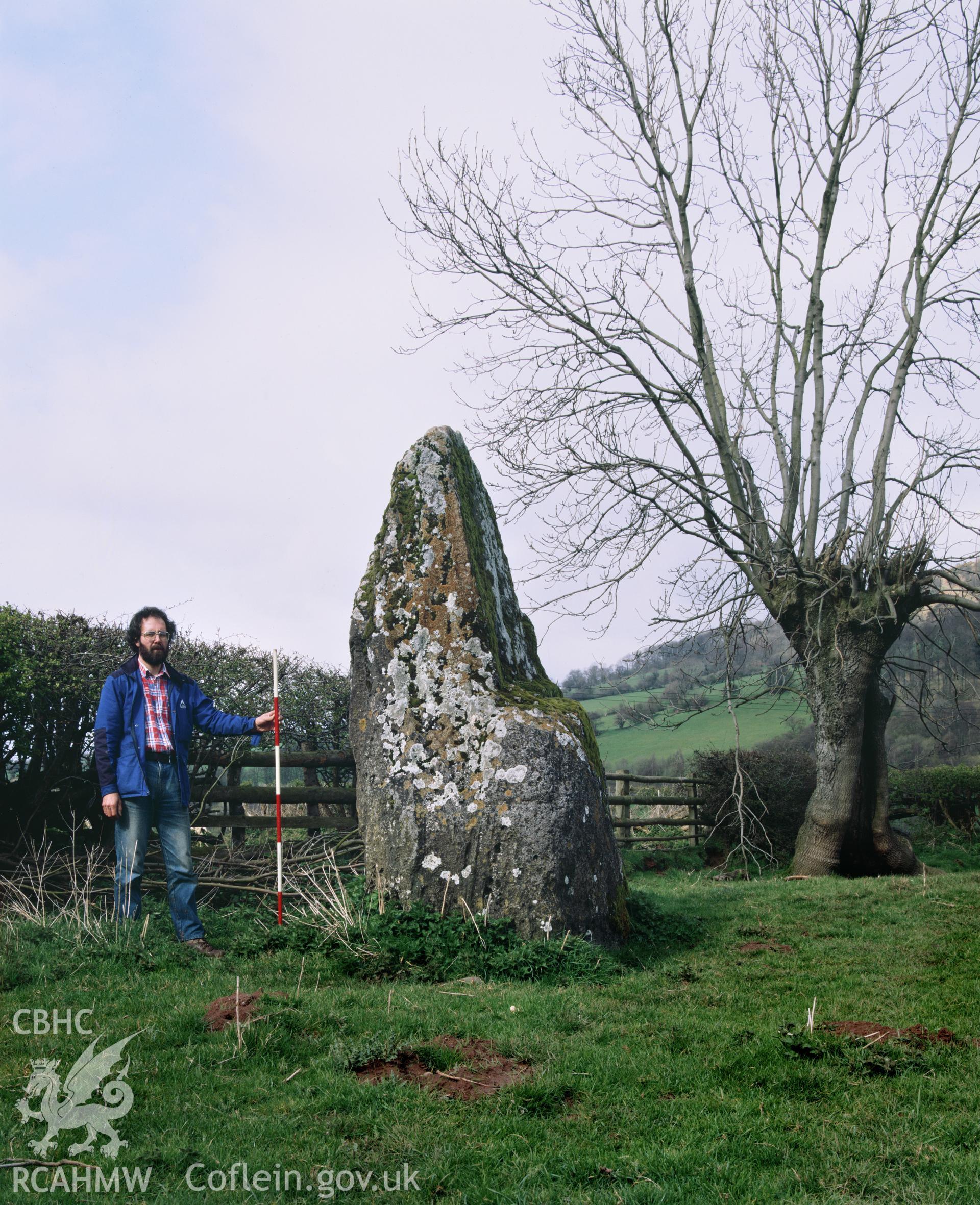 Colour transparency showing a view of Gileston Standing Stone, produced by Iain Wright, c.1981.