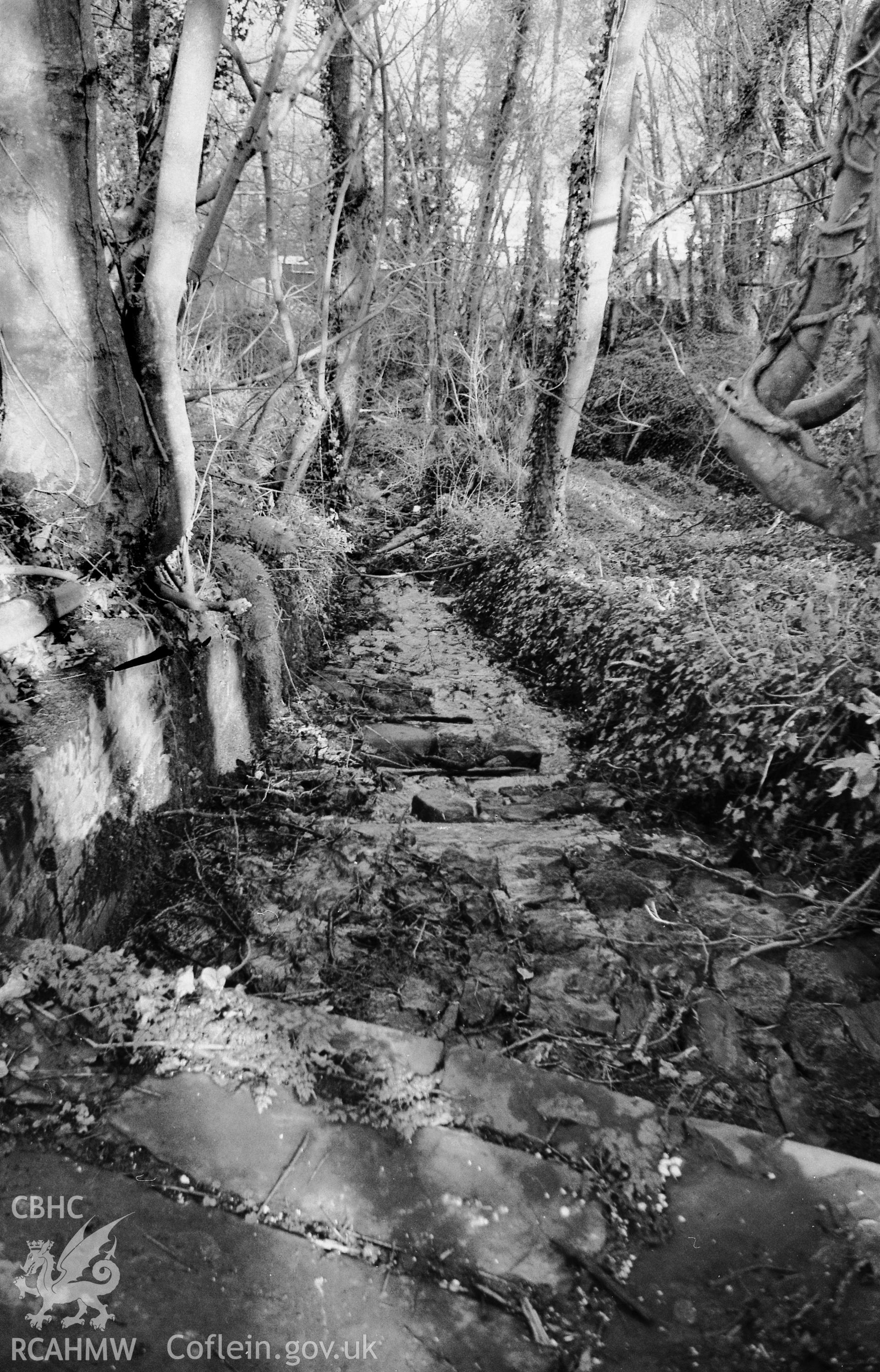 View of overflow channel from the leat at Penlan Flint Mill.