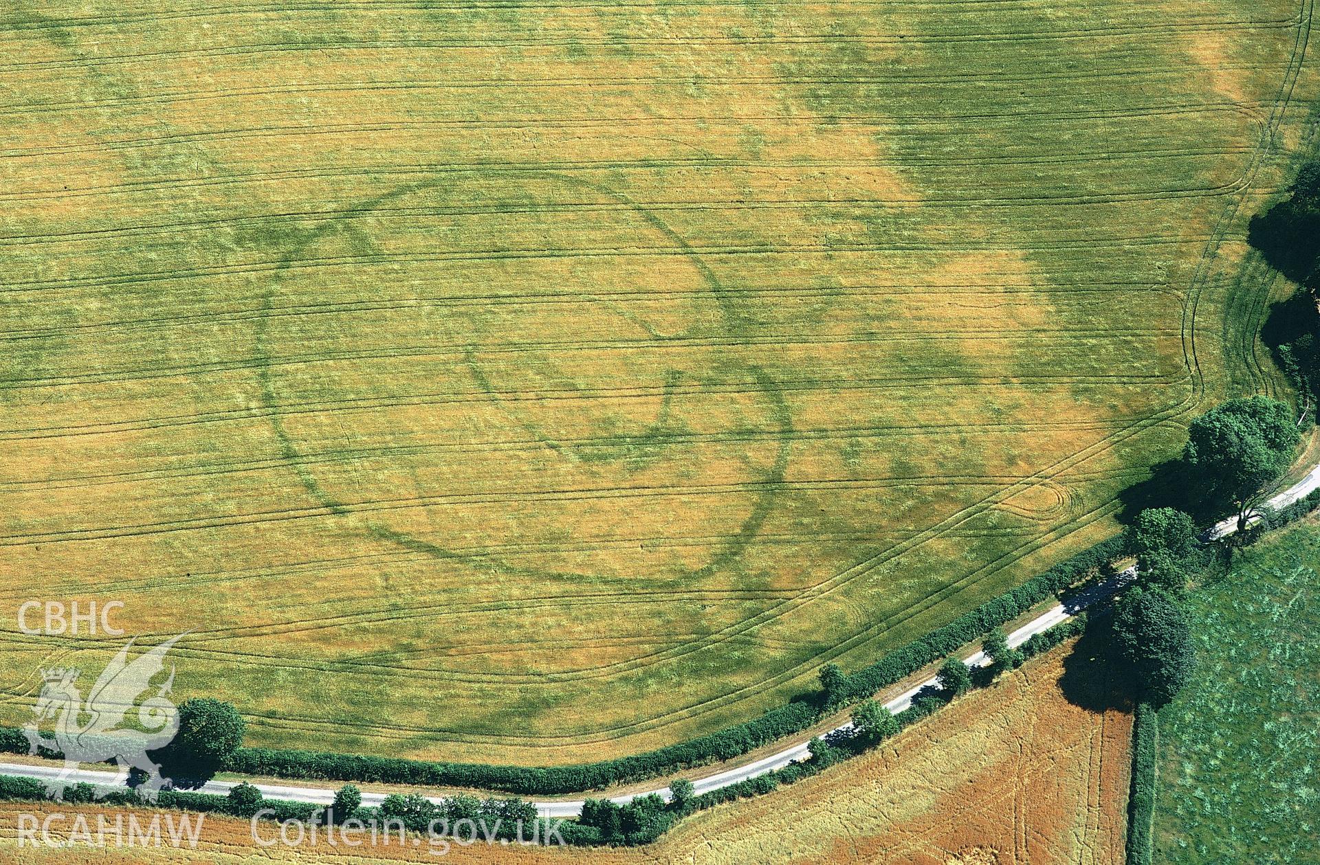 RCAHMW colour slide oblique aerial photograph of cropmark enclosure at Cawrence, Llangoedmor, taken by C.R.Musson on the 25/07/1996