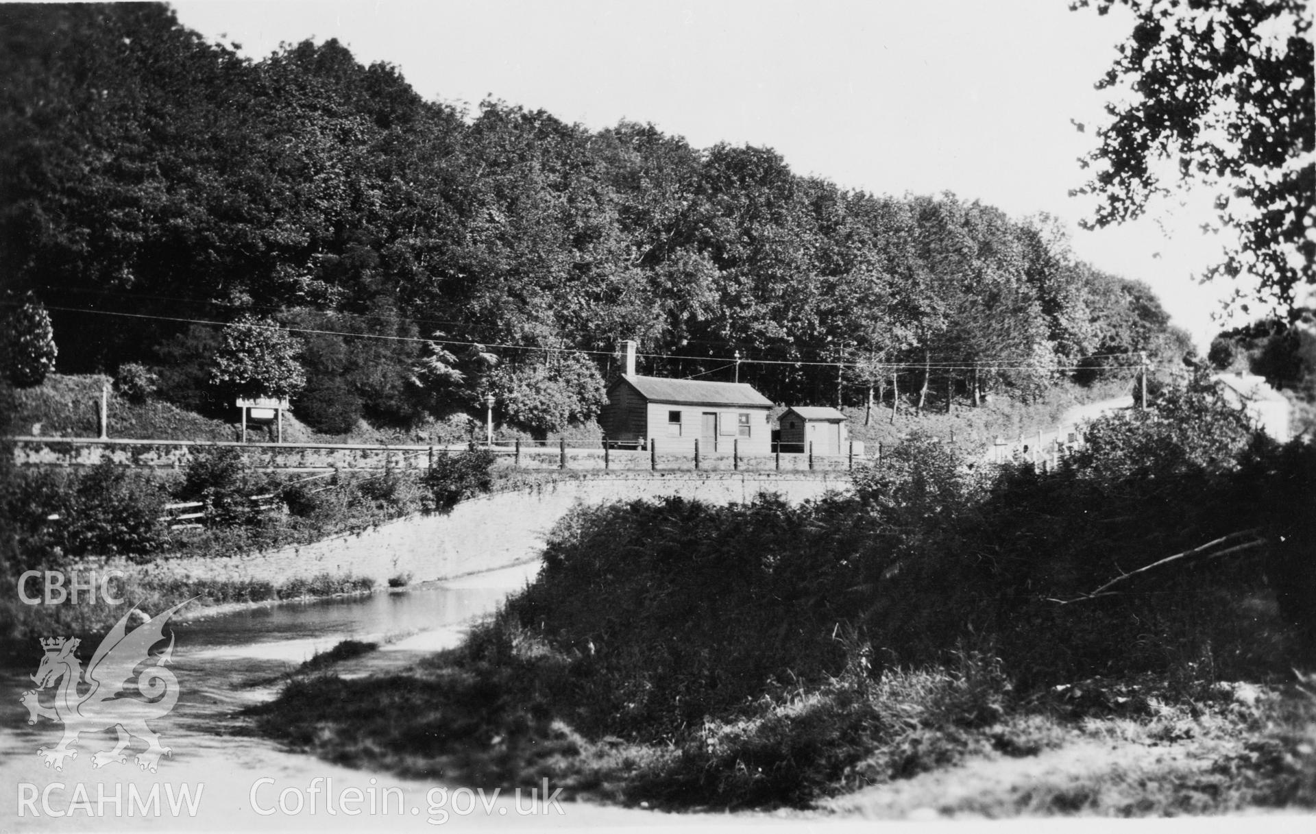 Black and white photograph, showing view of Llanycefn Railway Station. From Rokeby Album VIII, no.54.