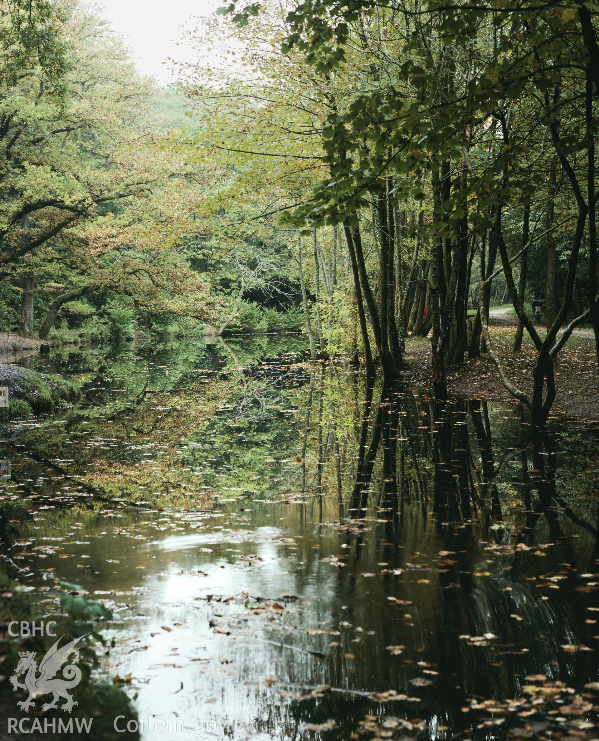 RCAHMW colour transparency showing Ynys Pit and leat, Clyne Valley, taken by I.N. Wright, c1981.