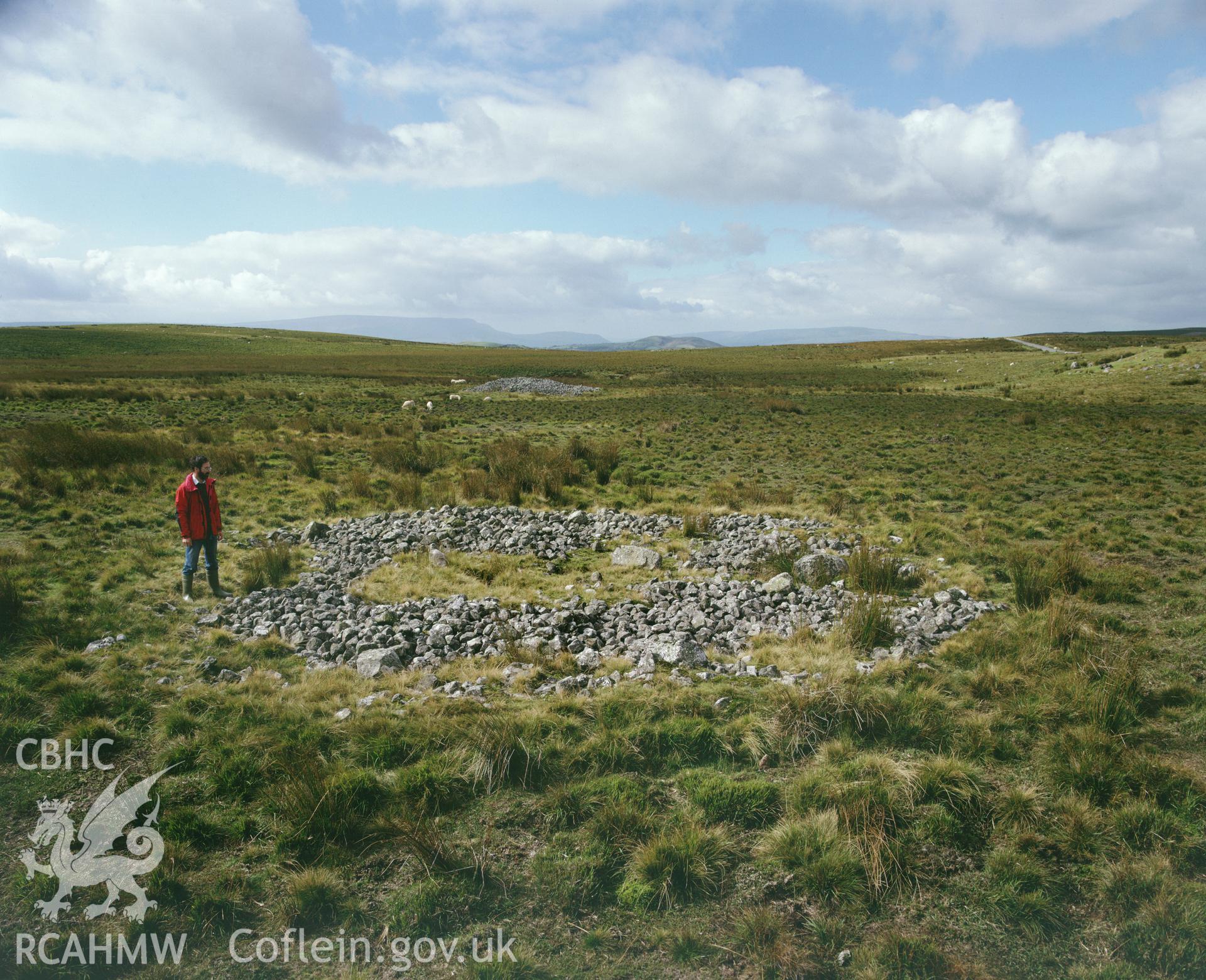 RCAHMW colour transparency showing ring cairn at Cefn Sychbant, taken by I.N. Wright, 1981.