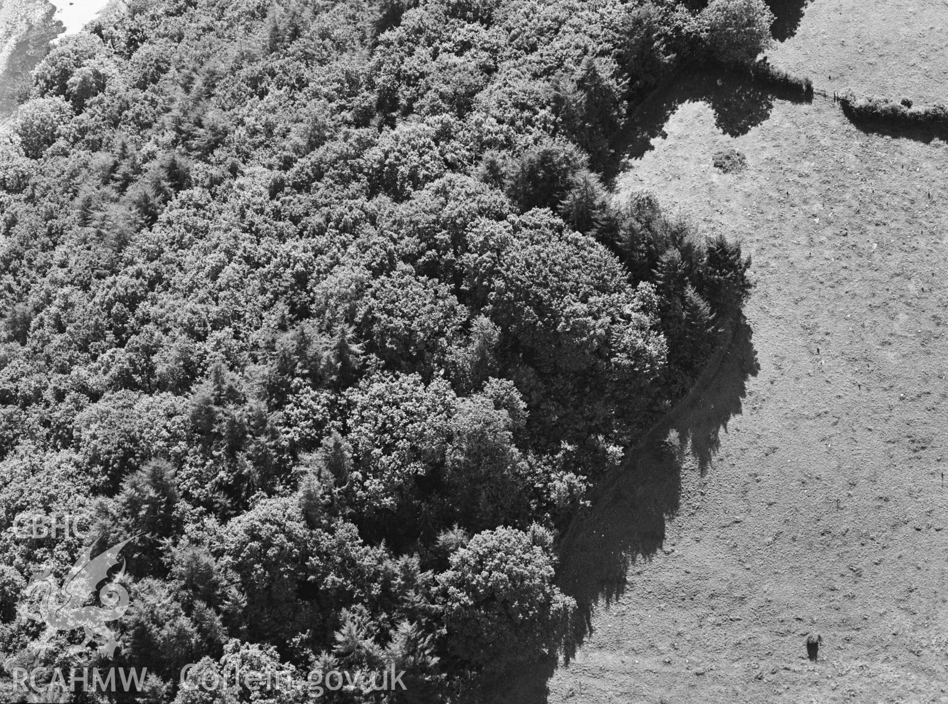 RCAHMW black and white oblique aerial photograph of Allt Pant Glas enclosure, taken by Toby Driver, 2001