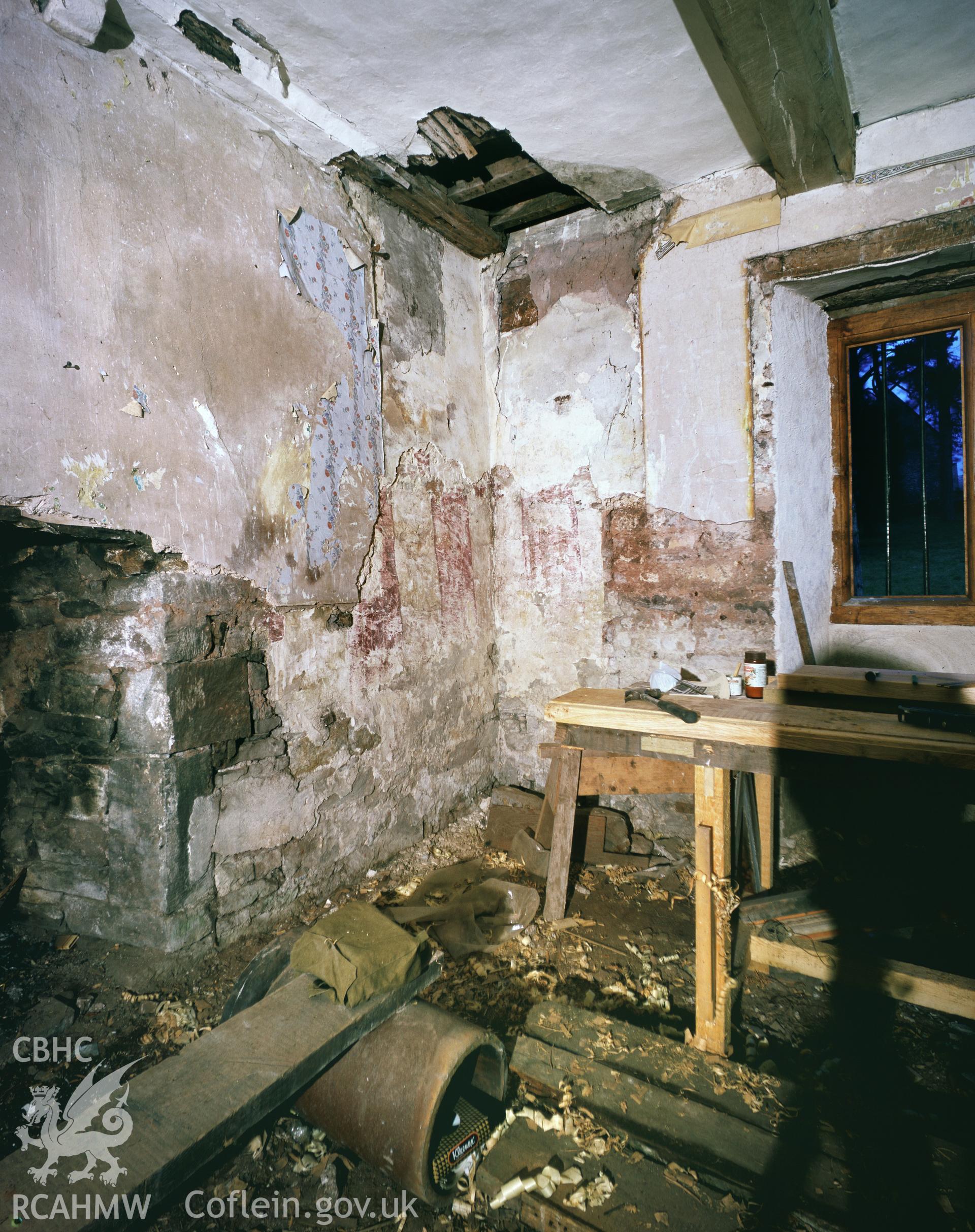 RCAHMW colour transparency showing wallpainting at Trebarried, Brecon, taken by I.N. Wright, 2003