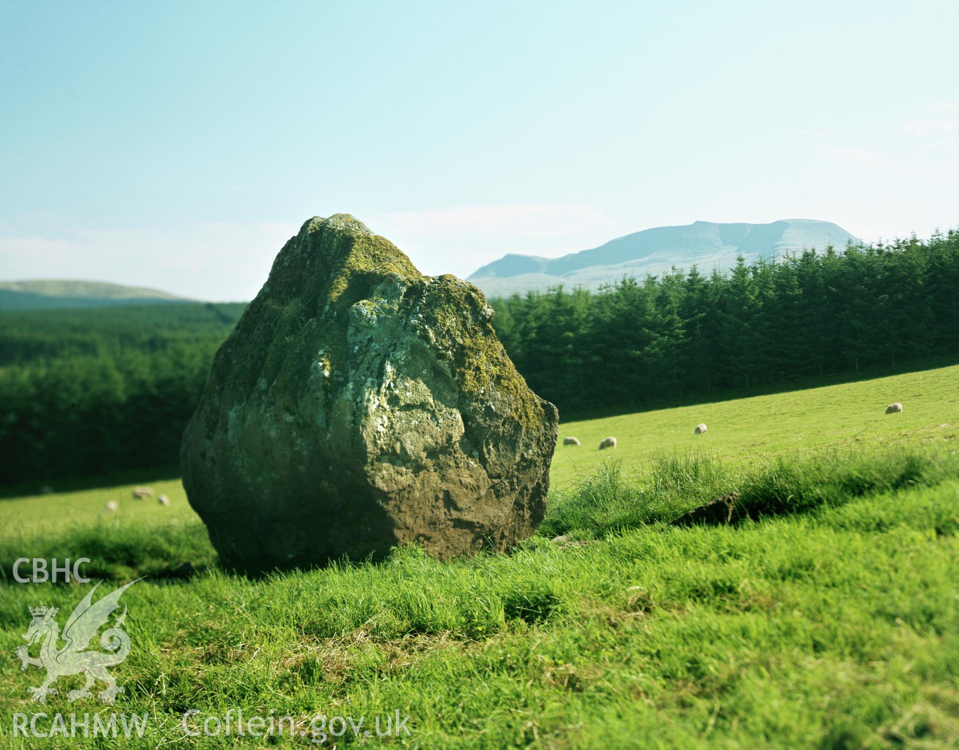 RCAHMW colour transparency showing standing stone at Gwern Wyddog taken by Iain Wright, c.1981