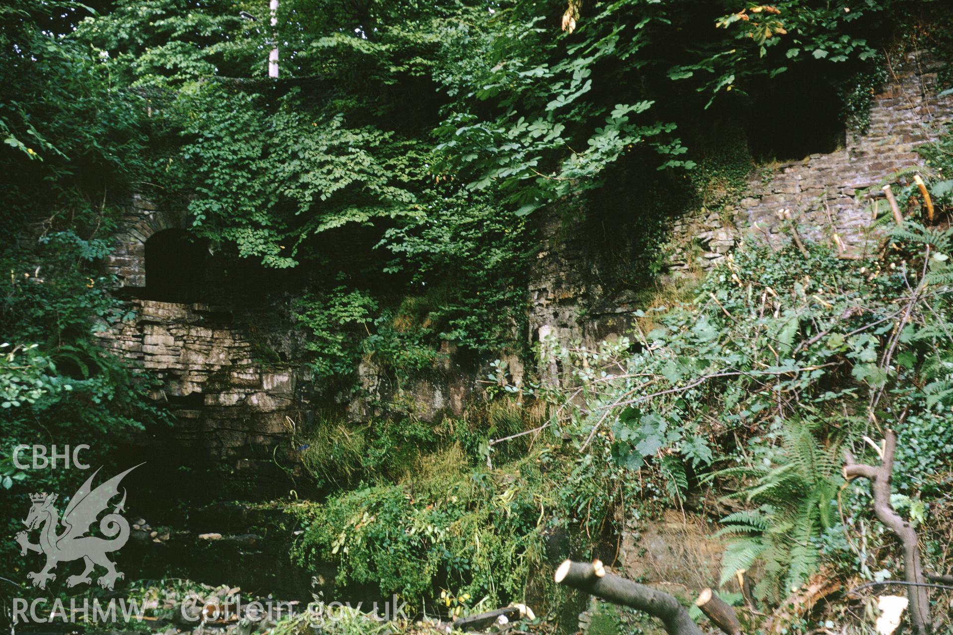 35mm slide showing feeders from furnace pond at Old Furnace, Furnace, Llanelli, Carmarthenshire by Dylan Roberts.